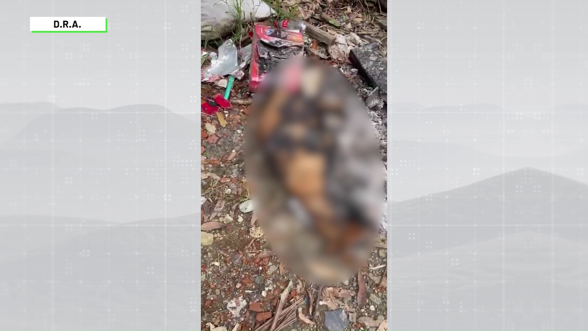 Perrito fue incinerado y botado en la basura