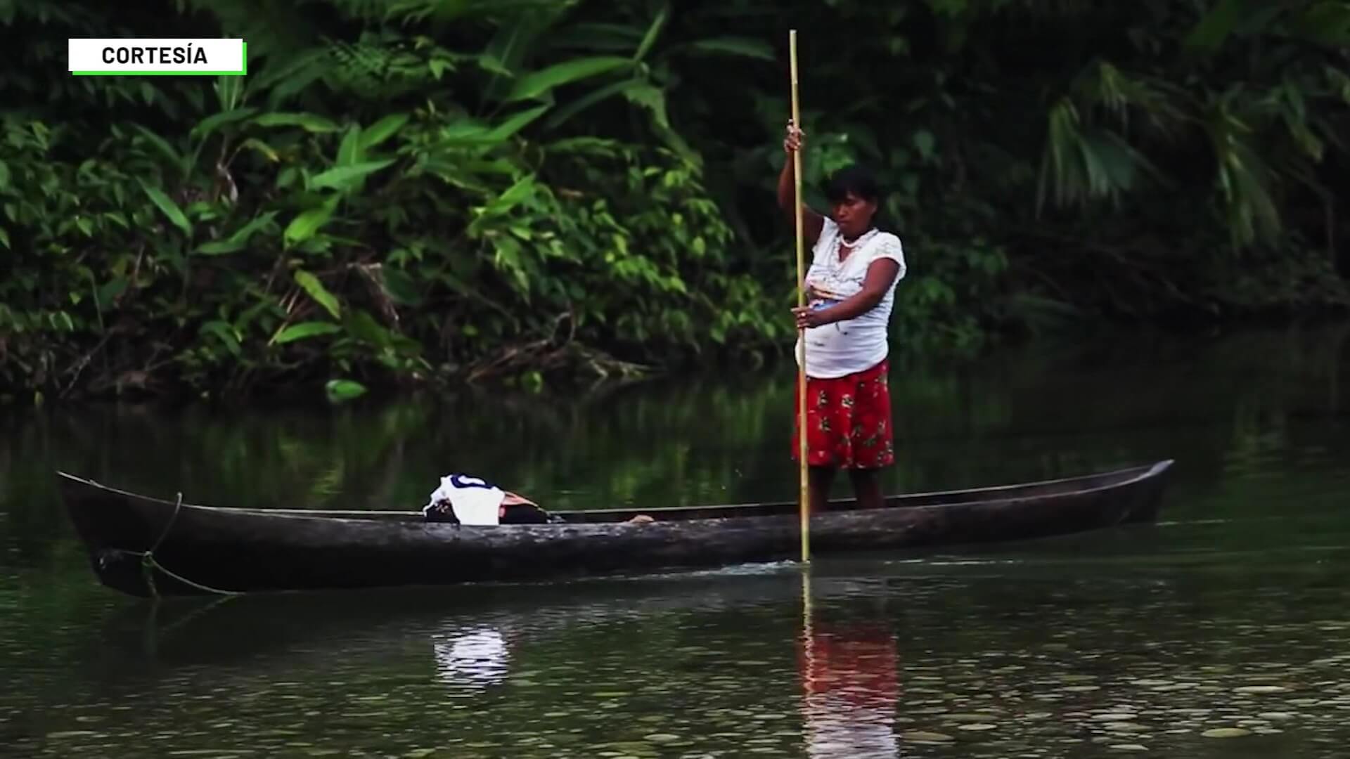 Tribugá, declarada reserva de biosfera por Unesco