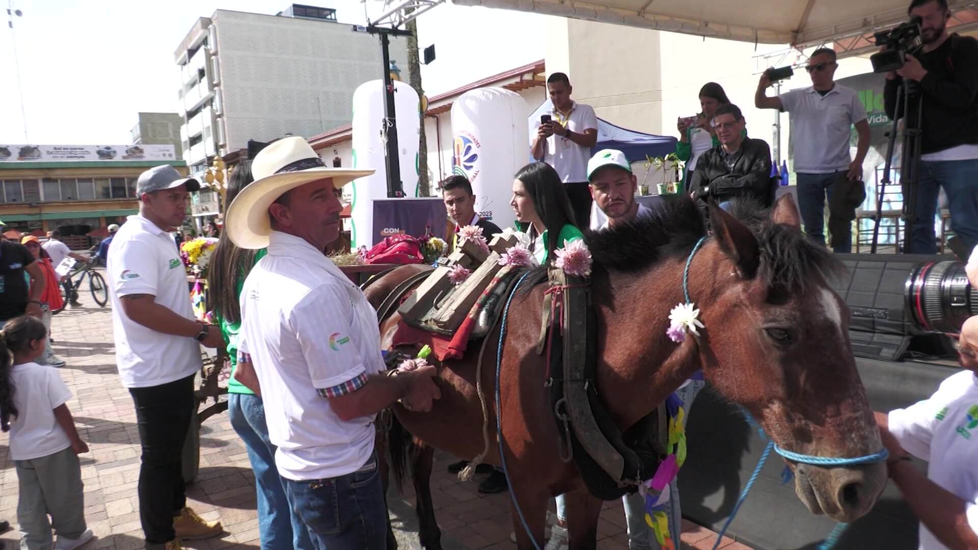 140 caballos serán sustituidos por motocargueros