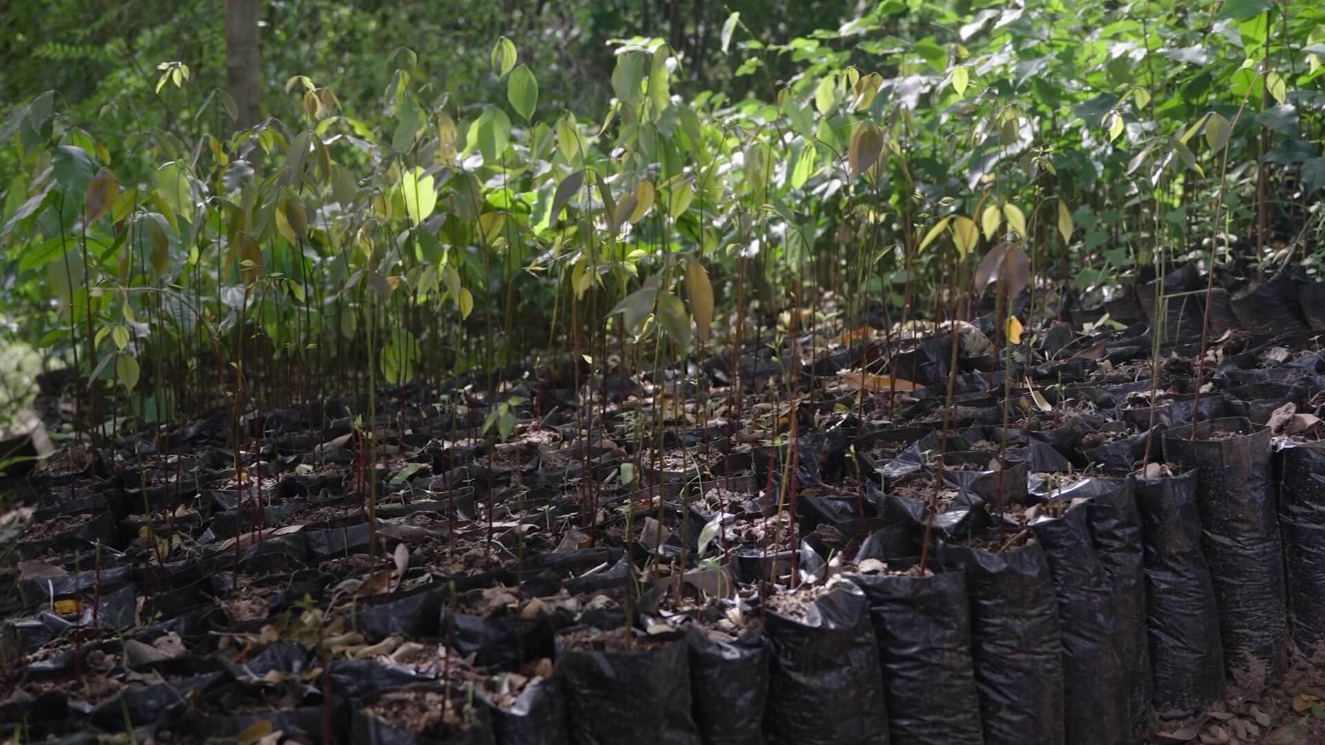 ‘Expedición Antioquia’ recorre las aguas del río Nechí