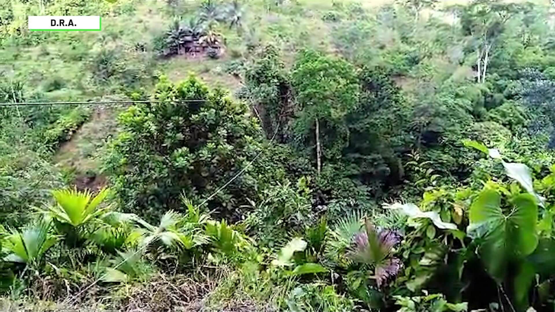 Cinco fallecidos tras caer de una garrucha