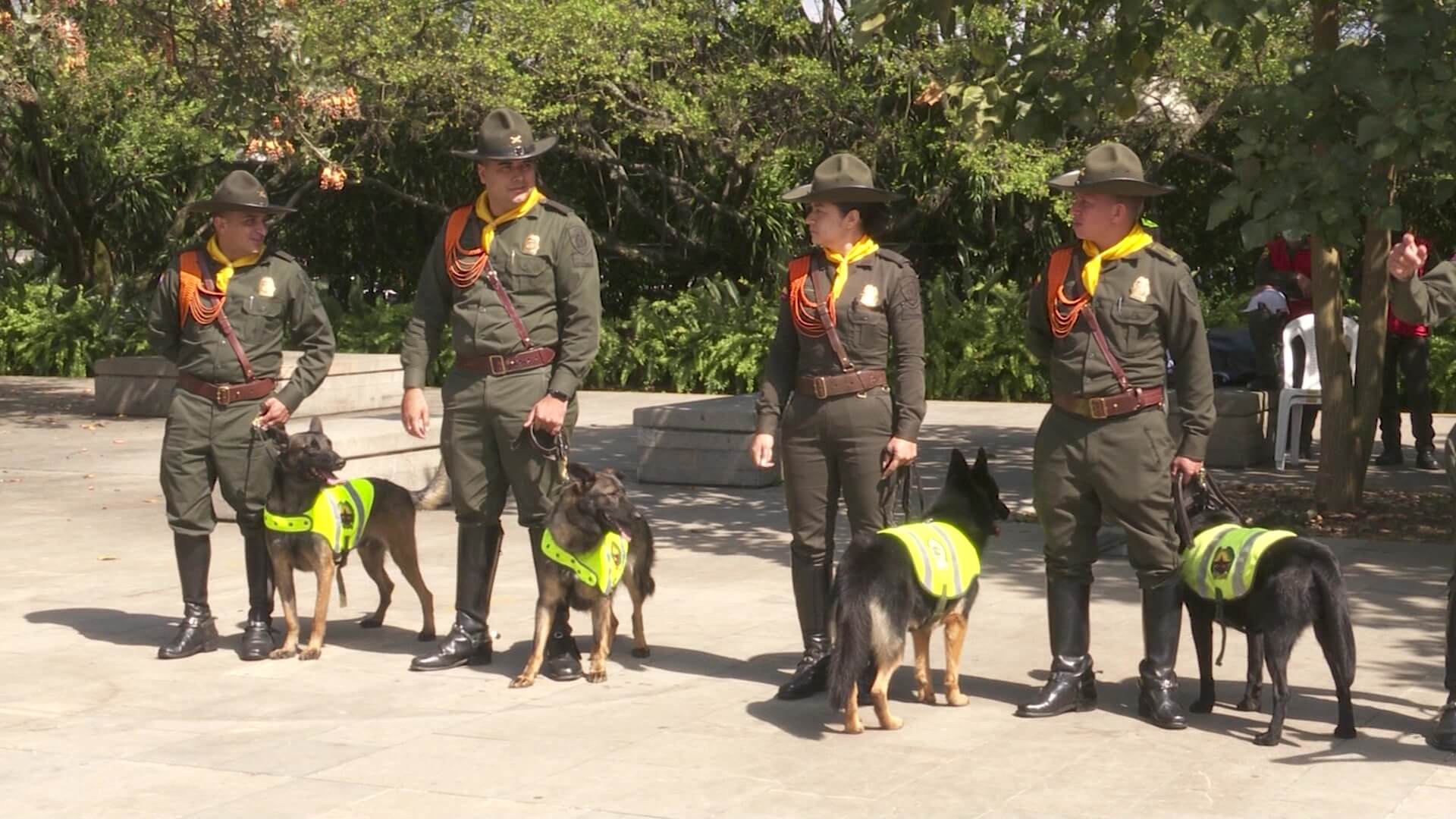 Por ley ya no se podrán usar animales en protestas