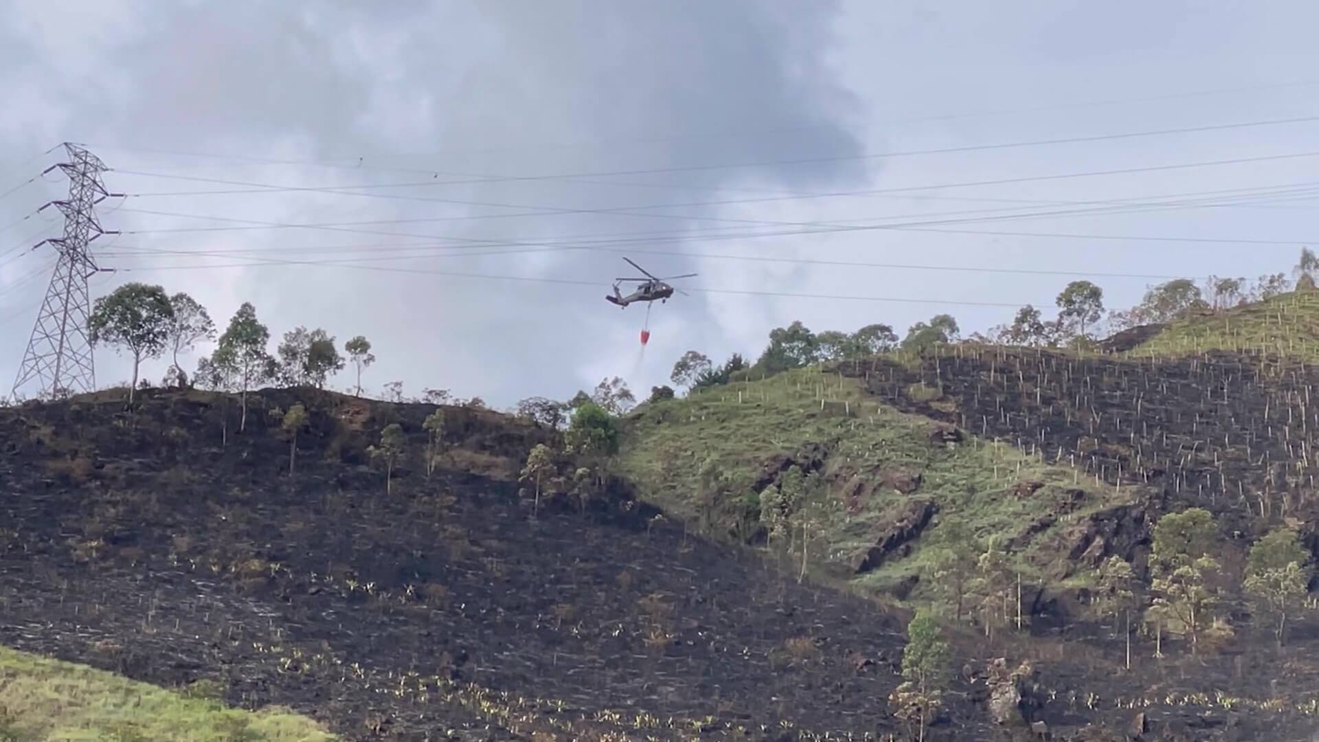 Incendios forestales: 36 muertos y varios desaparecidos