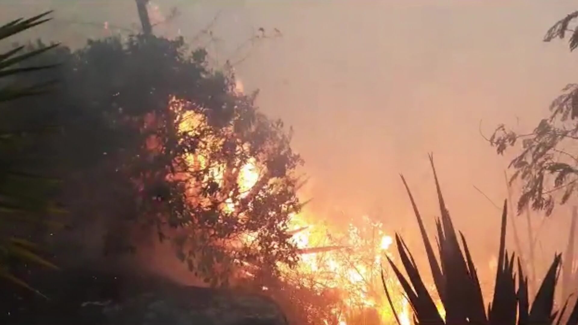 Tras 12 horas controlan incendio de cobertura vegetal