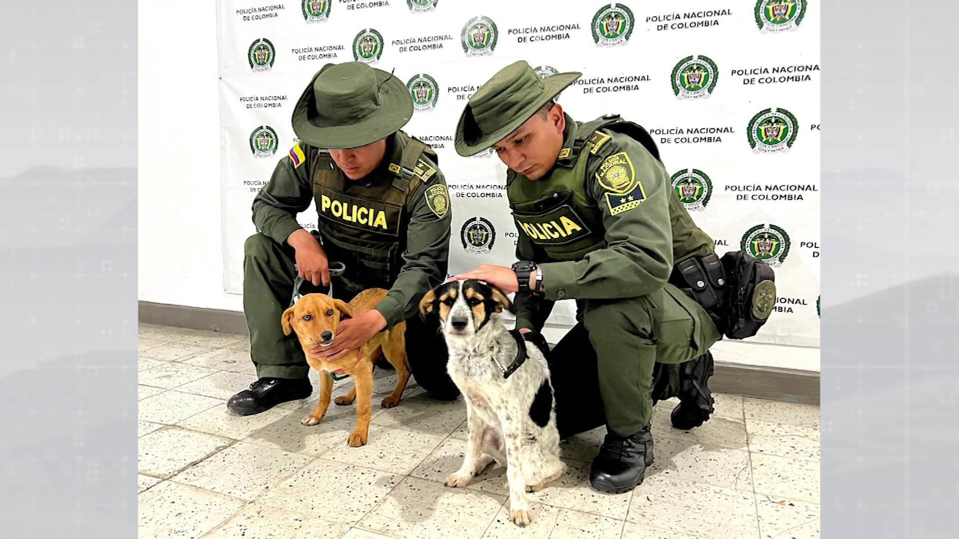 Capturan a hombre de 23 años por maltrato animal