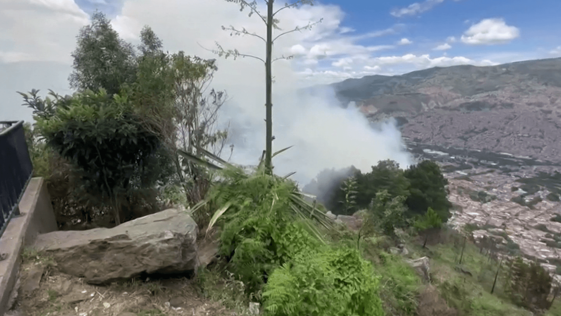 Plan de contingencia por incendios de cobertura vegetal