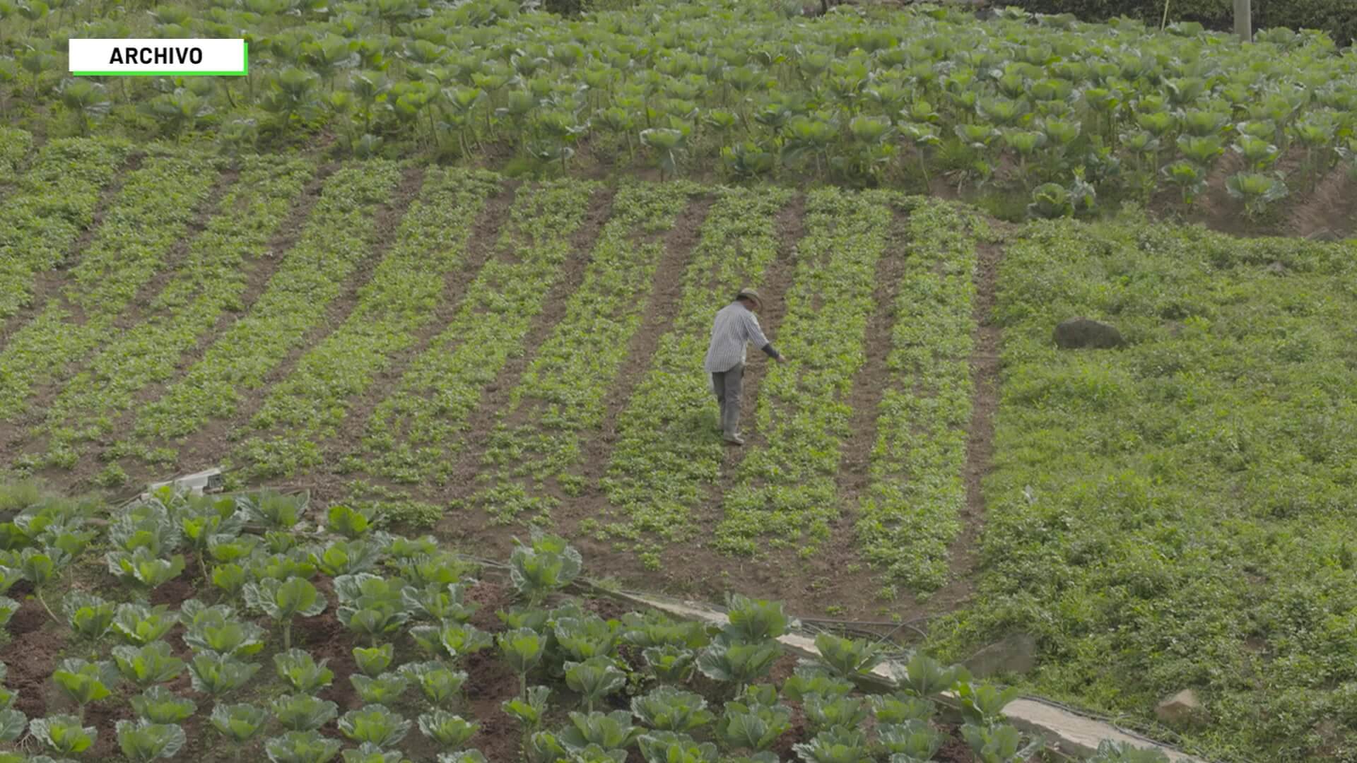 Disminuyó el precio de los fertilizantes