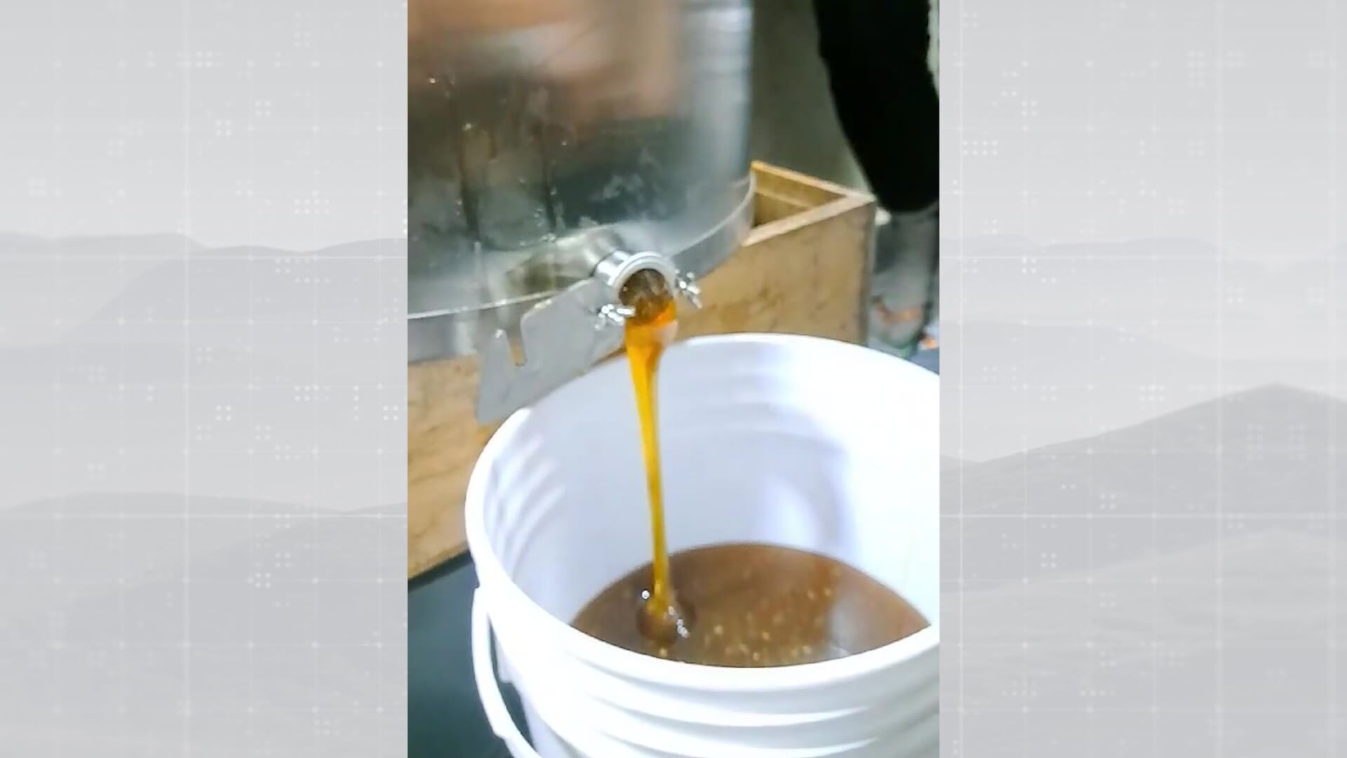 Miel del Cartama, entre las 50 mejores del mundo