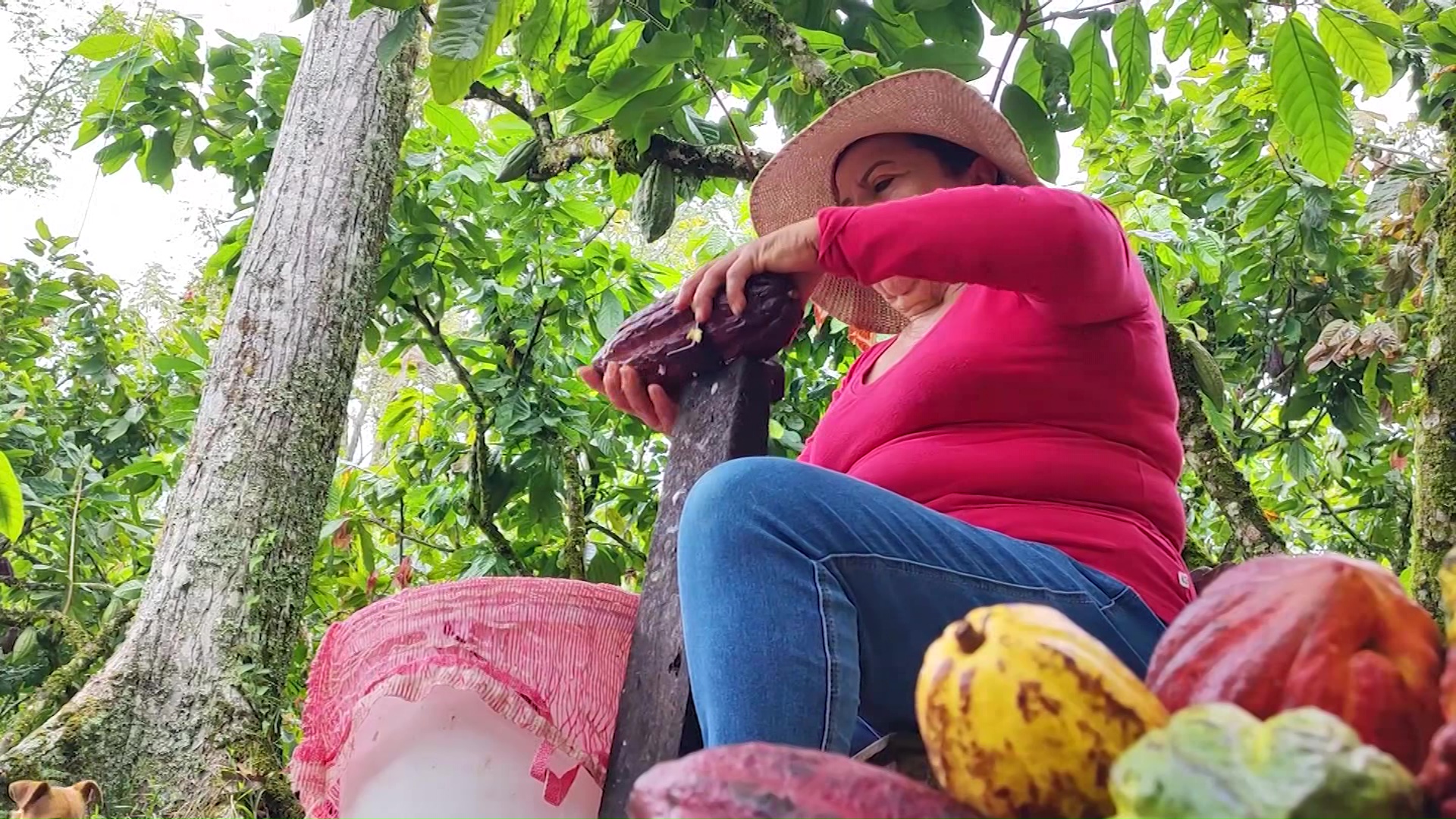 Hoy es el día internacional de la mujer rural