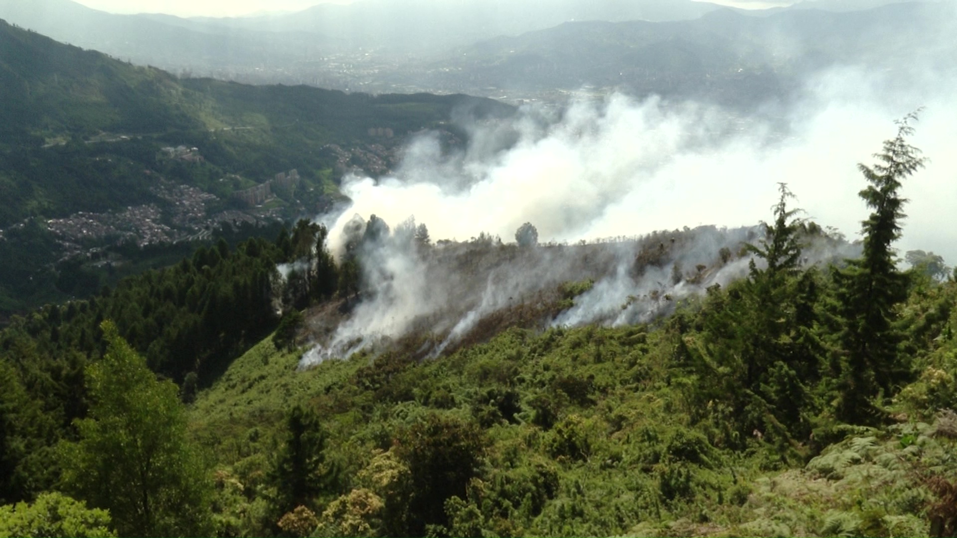 Bomberos aún no han podido sofocar incendio vegetal