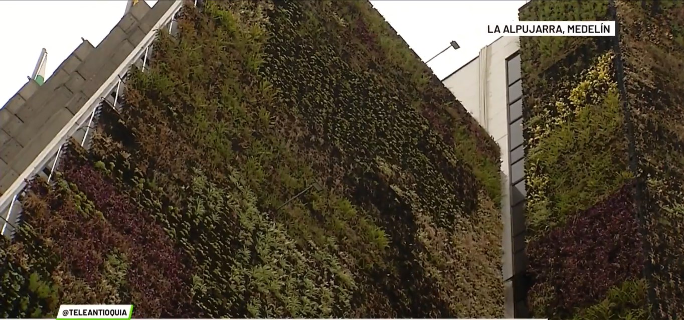 Alcaldía malestar por deterioro de ‘muro verde’