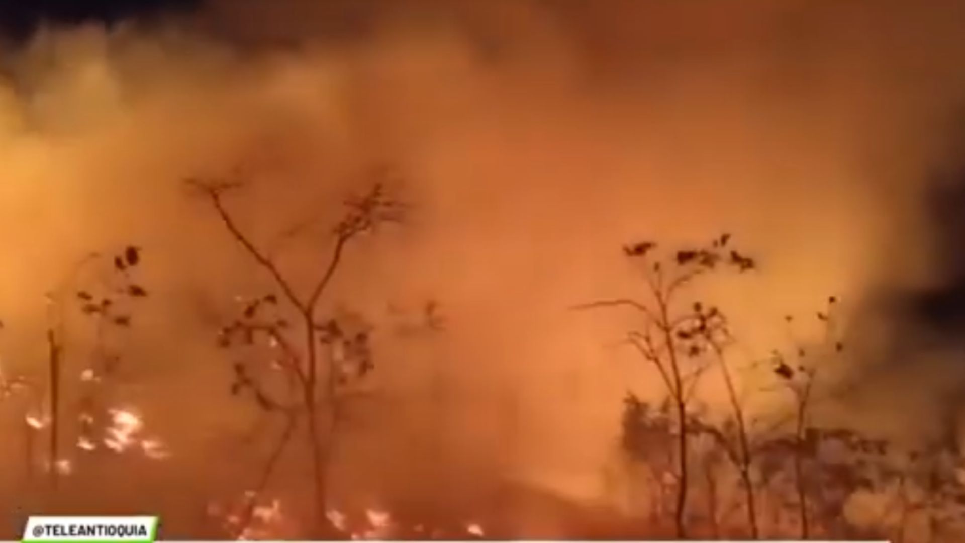 Campamento: incendio podría afectar bocatoma