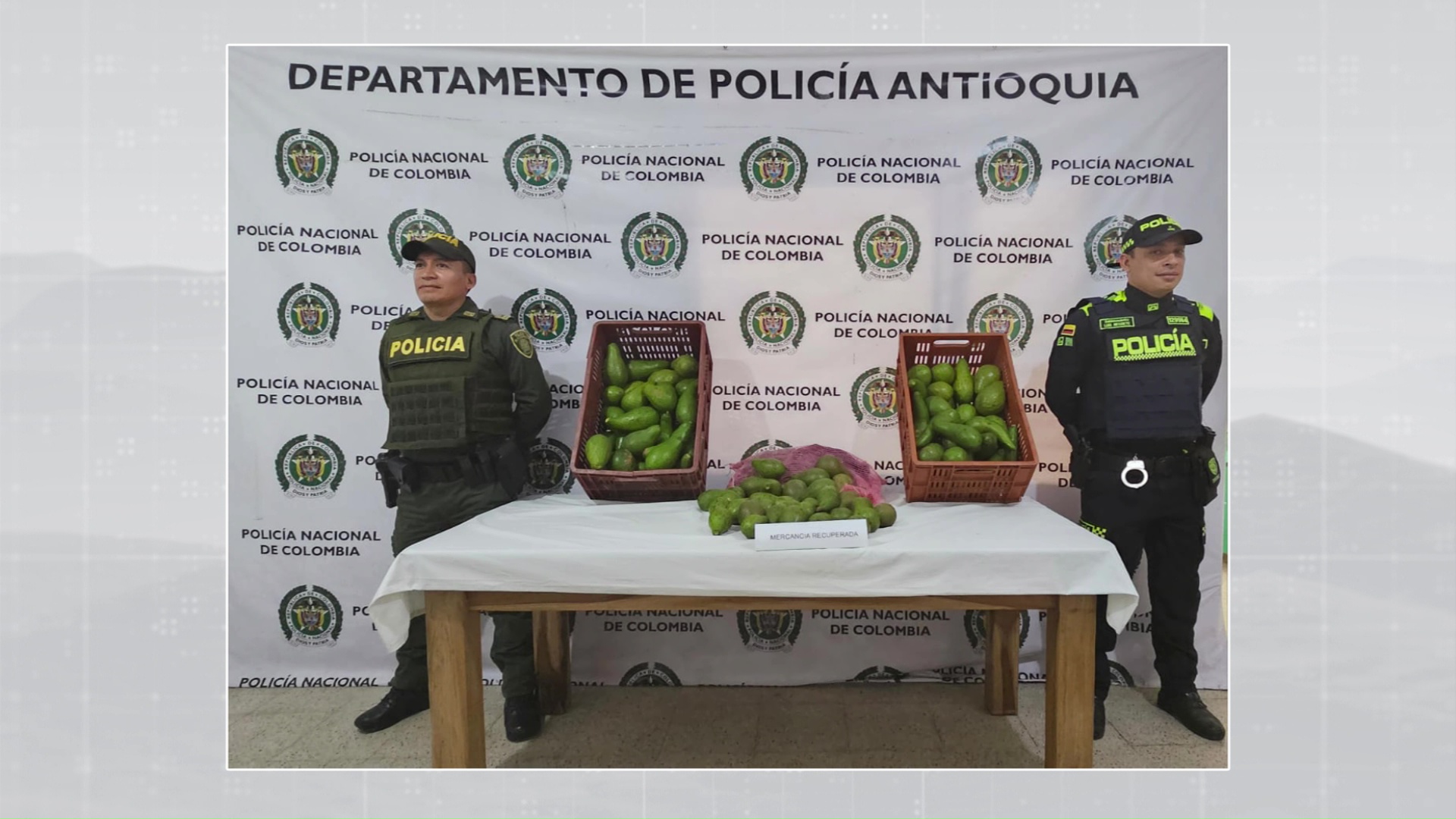 Hurtan más de 150 aguacates a un adulto mayor