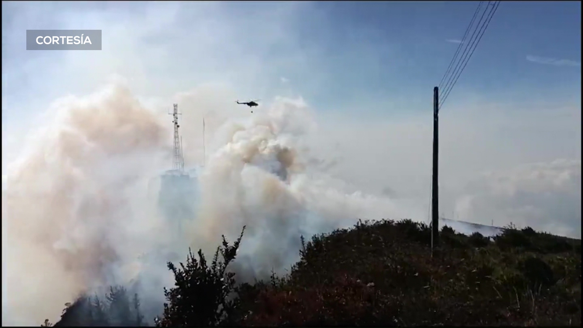 Incendios 264 hectáreas de bosque afectadas