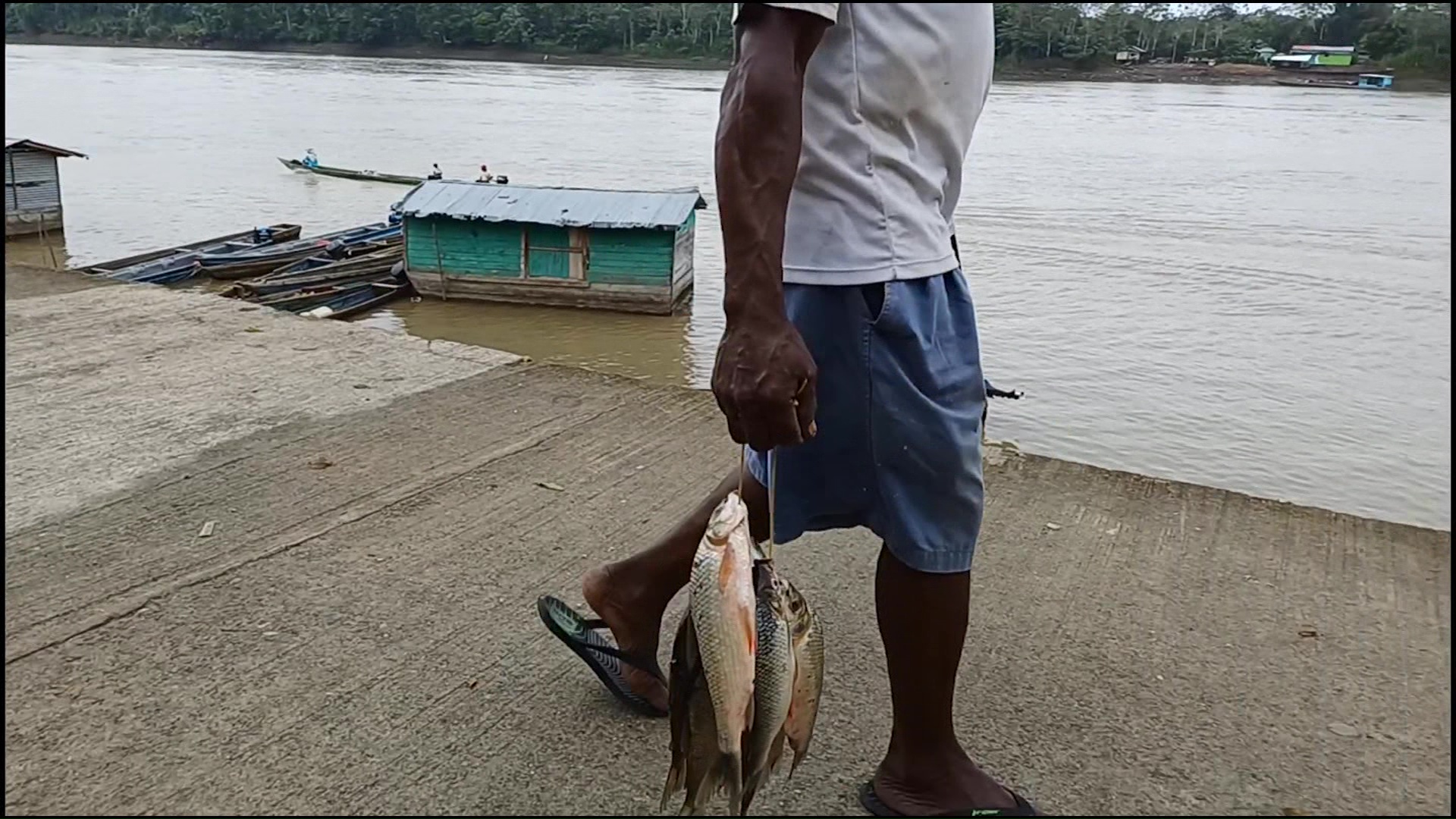 Abundan los pescados en el Magdalena Medio