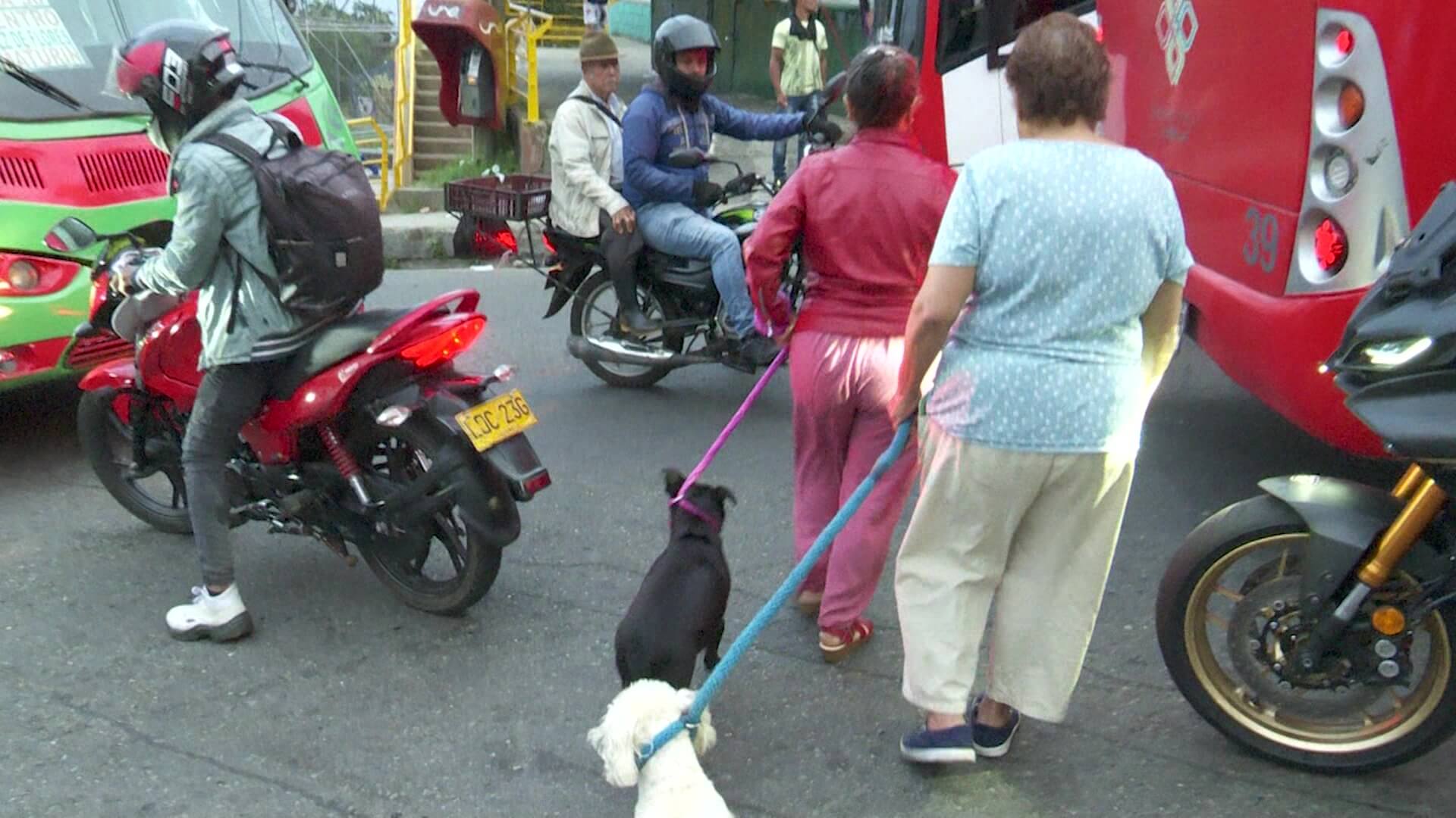 Alerta por personas y perros atropellados en Llanaditas
