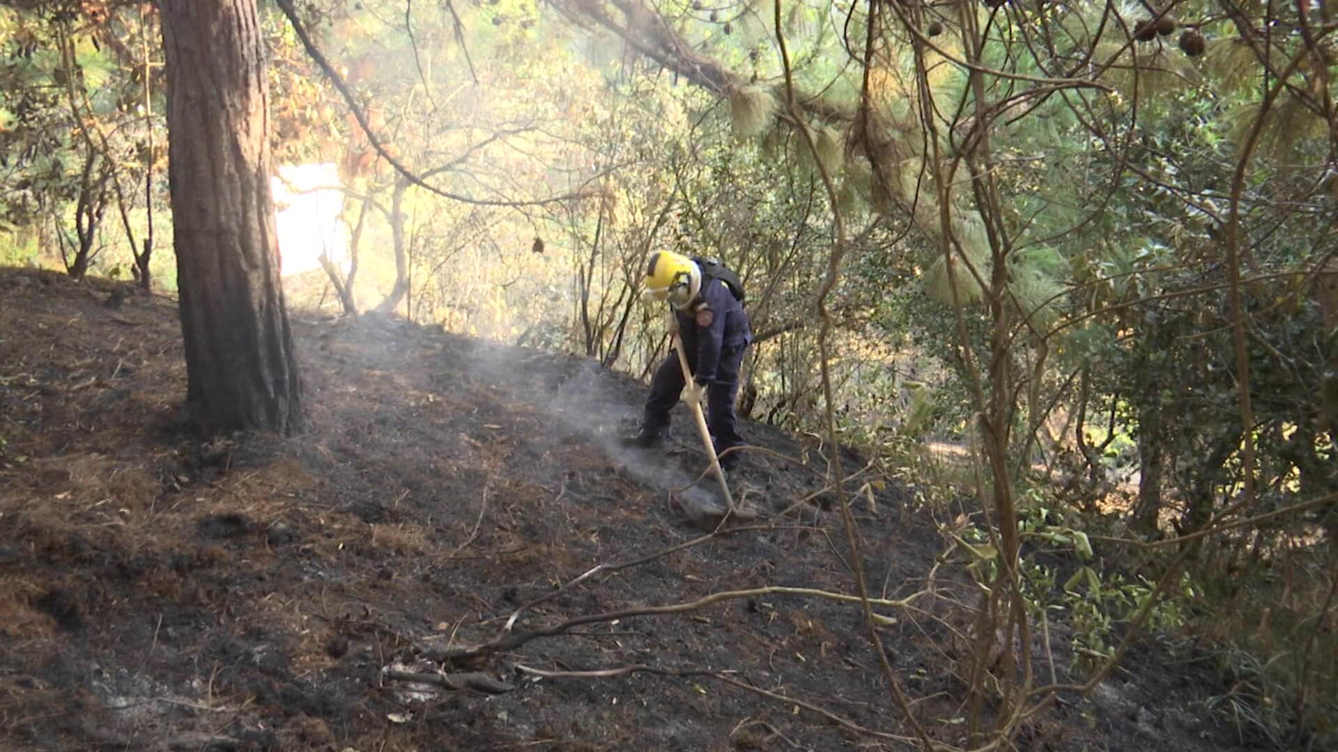 Bello: incendio está controlado en un 90 %