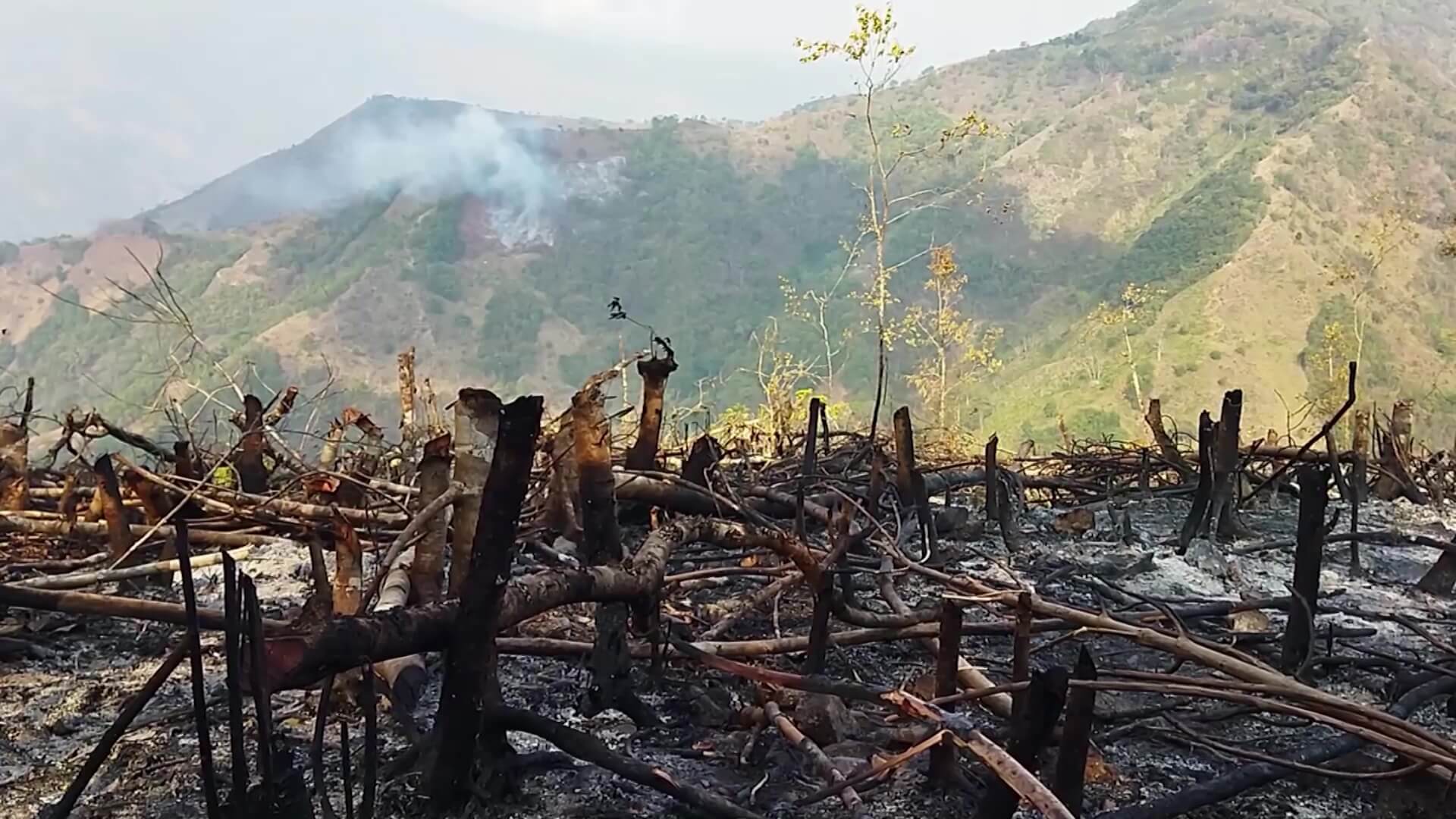 Emergencia por incendio forestal en Ituango