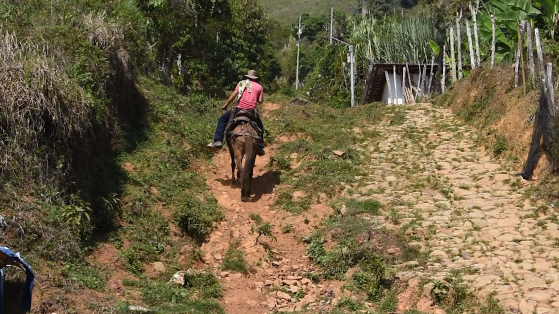 Ituango: sigue reparación colectiva en El Aro