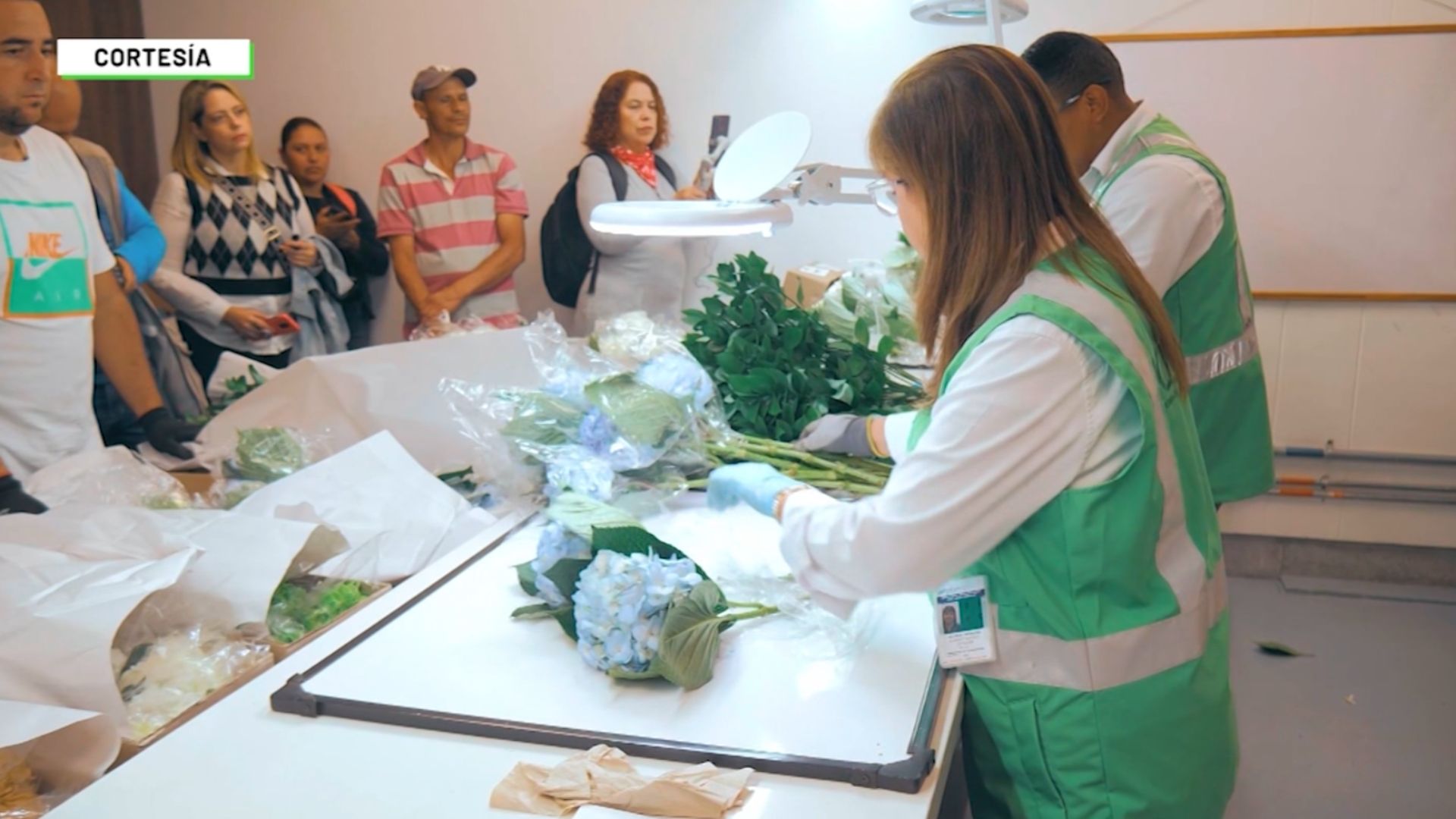 Antioquia exportará 9.000 toneladas de flores