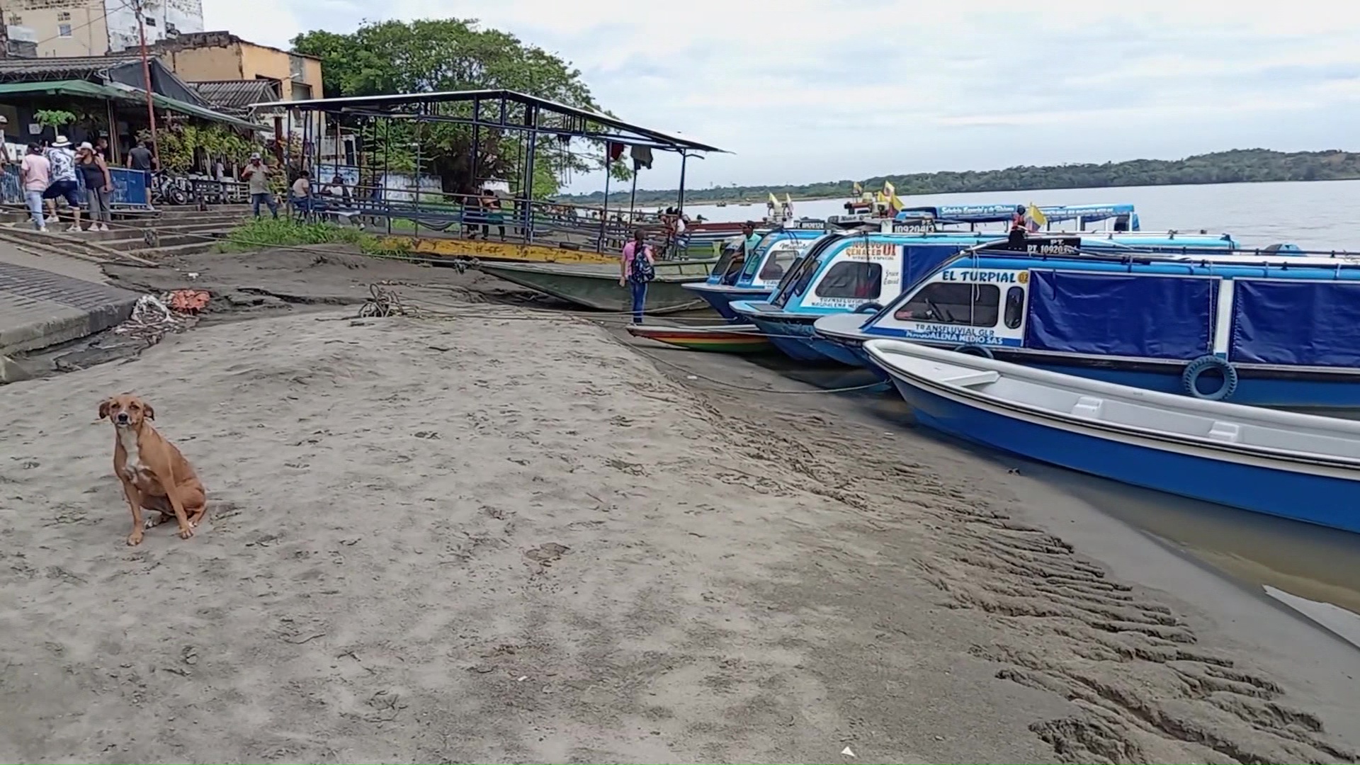 Preocupación en el Magdalena Medio por sequía