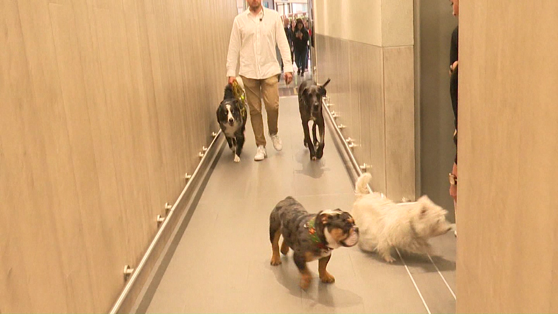 Centro comercial con baño para mascotas