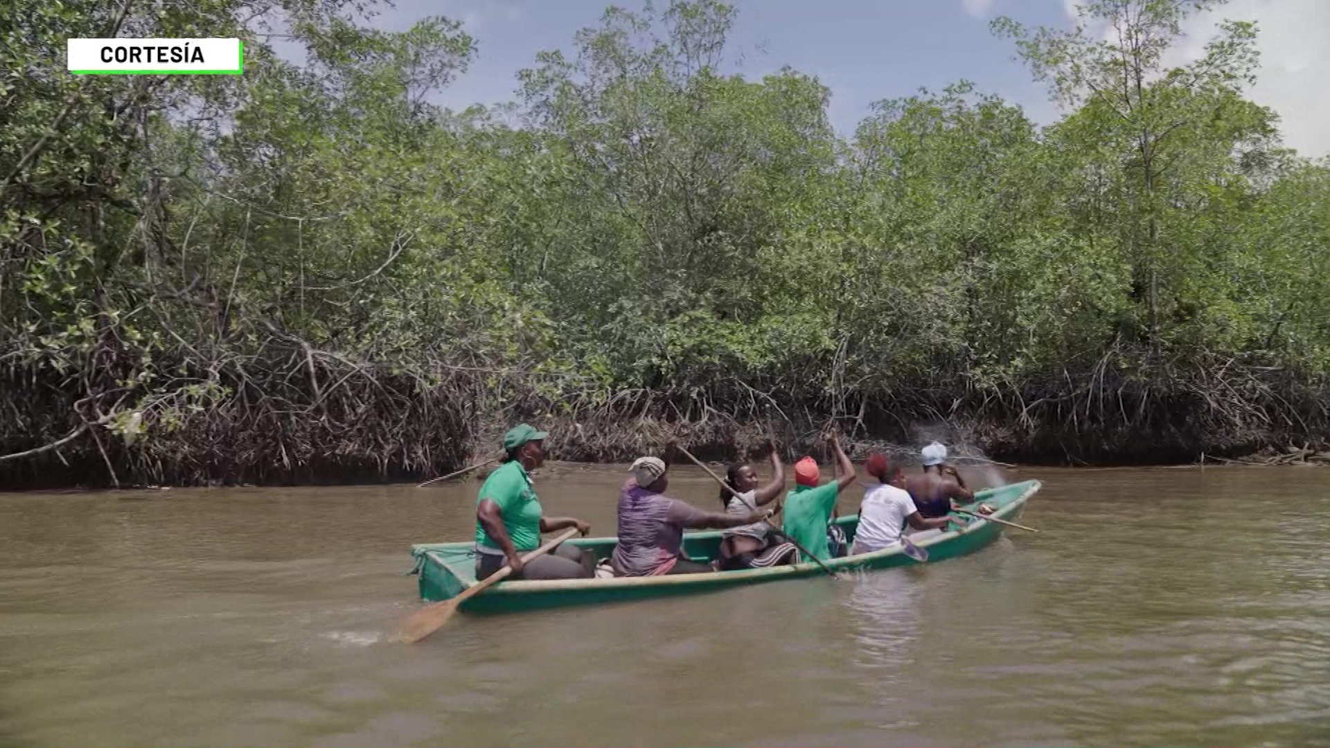 Documental Raíces llega a Teleantioquia