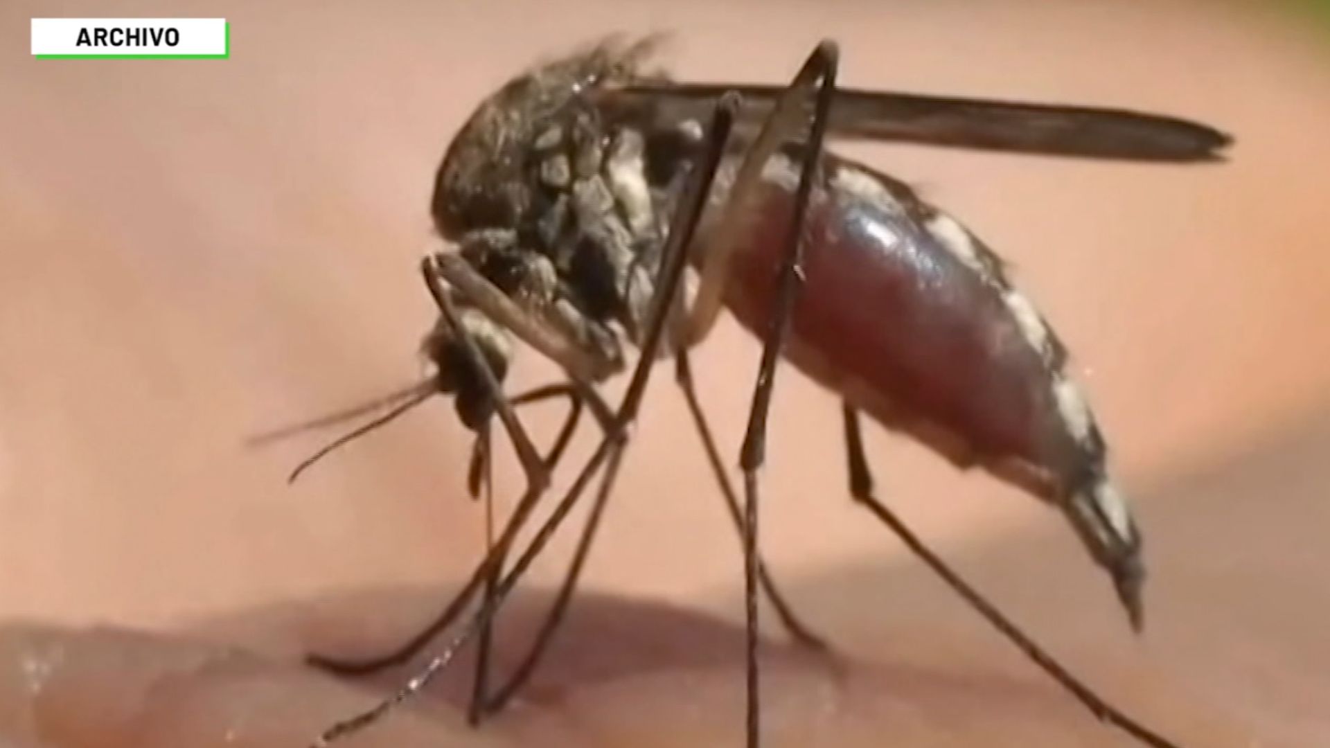 Alertan por casos de dengue en Antioquia