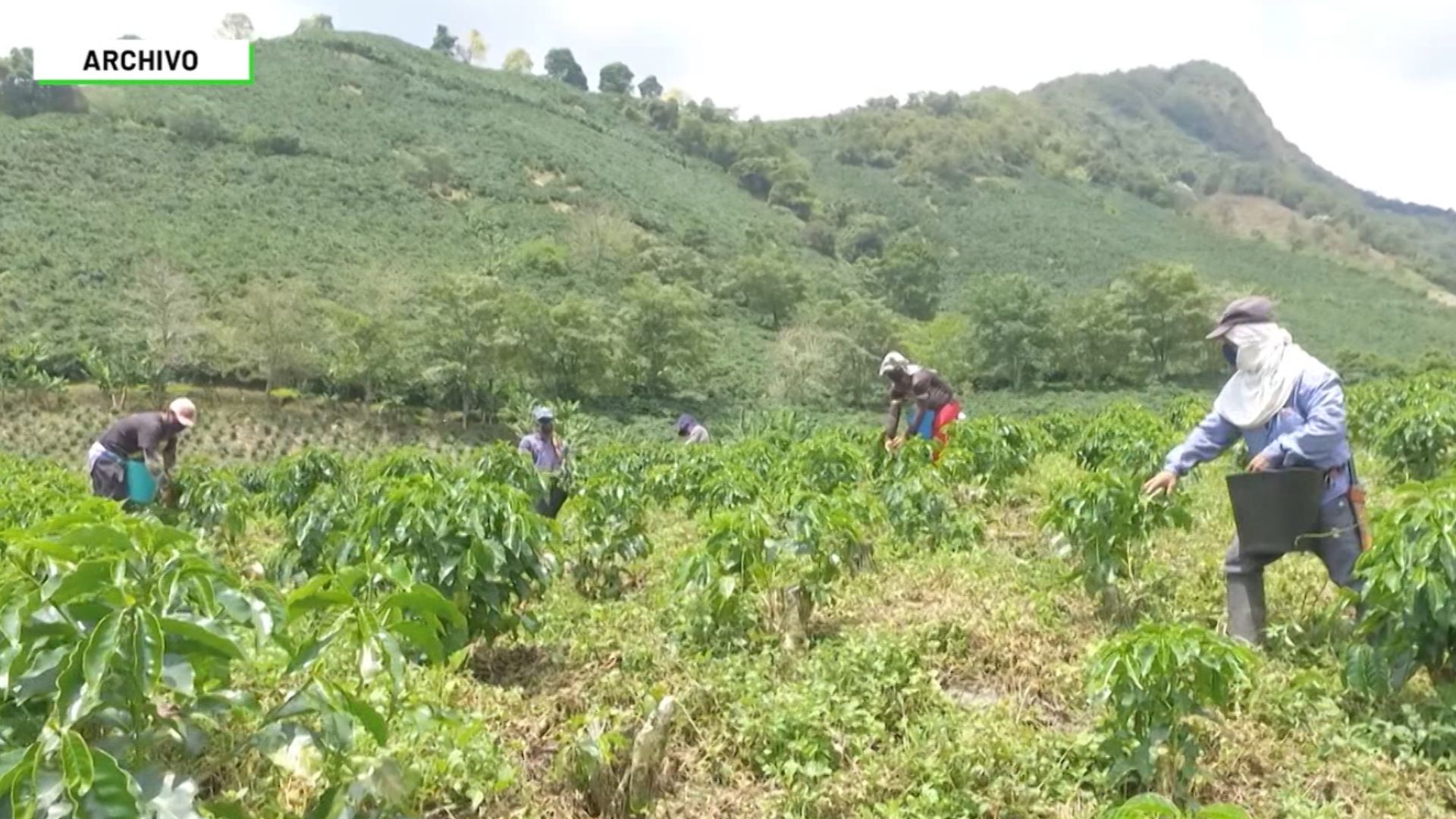 Concejales piden ‘suroeste distrito agropecuario’