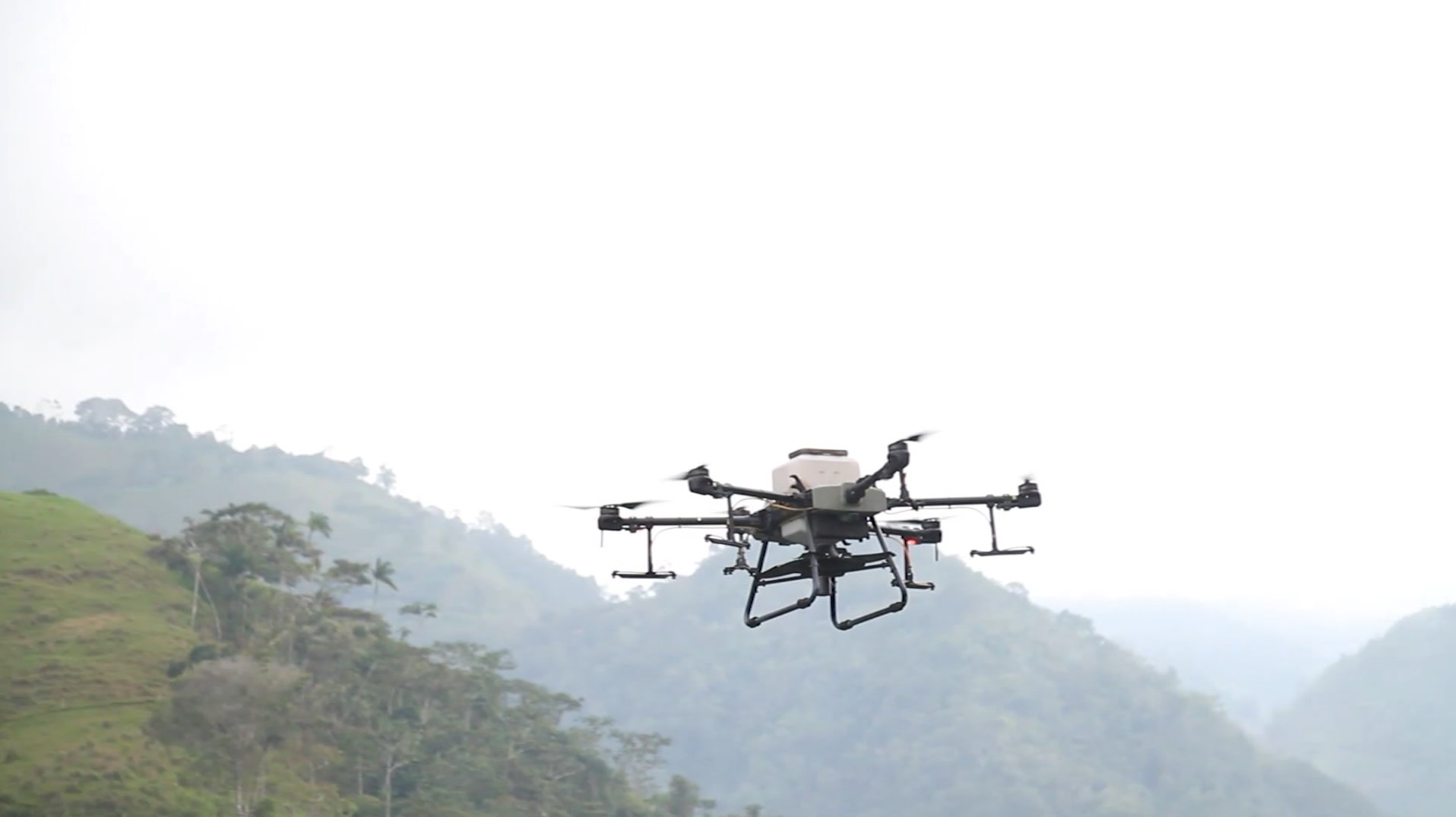 Con drones reforestan 60 hectáreas en Urrao