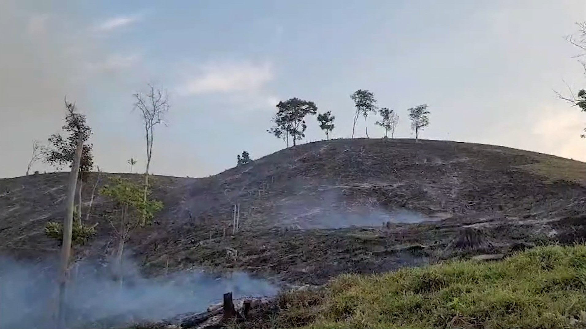 Emergencia ambiental por incendios forestales