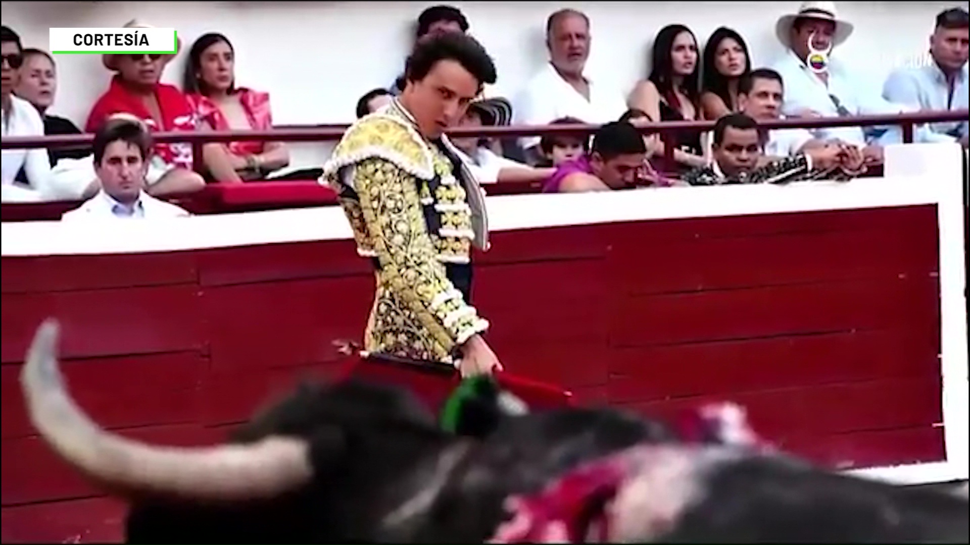 Las corridas de toros a punto de desaparecer