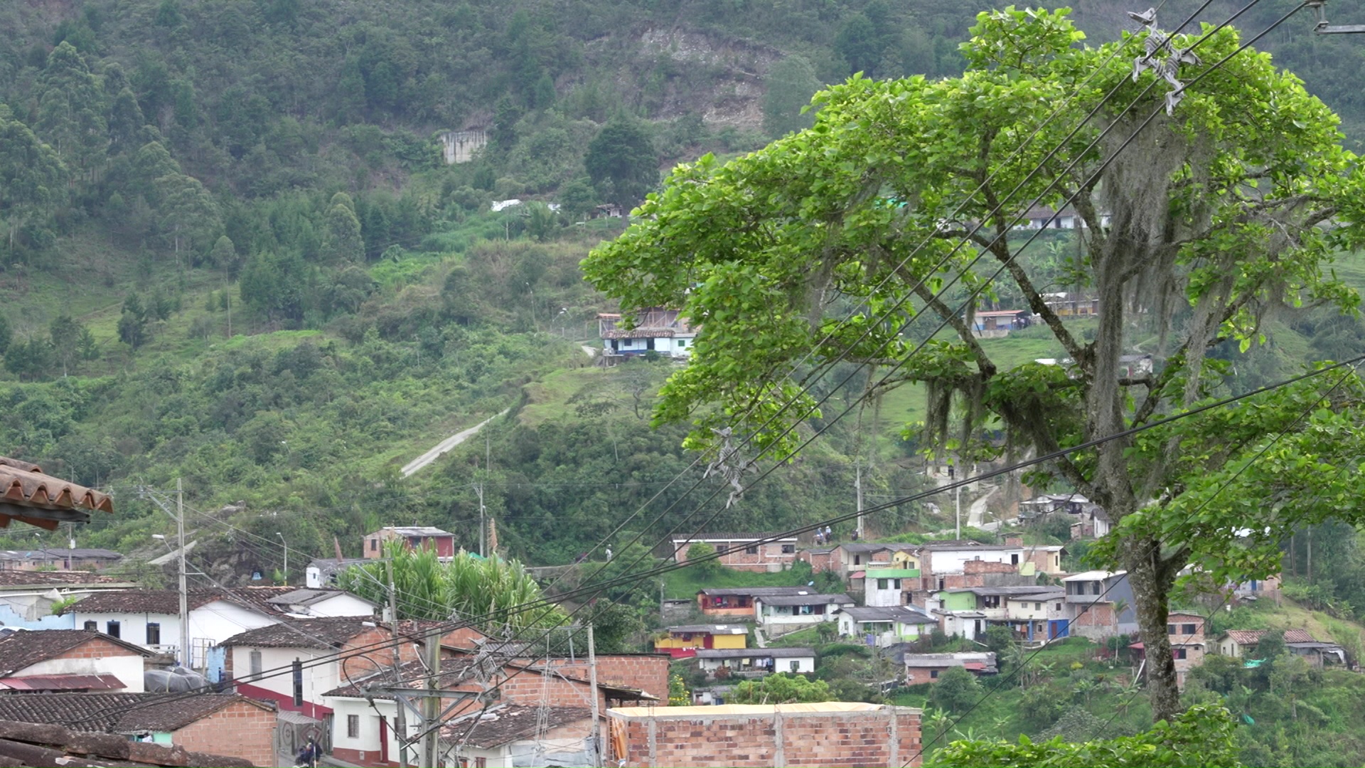 El suroeste contra casas de vicio