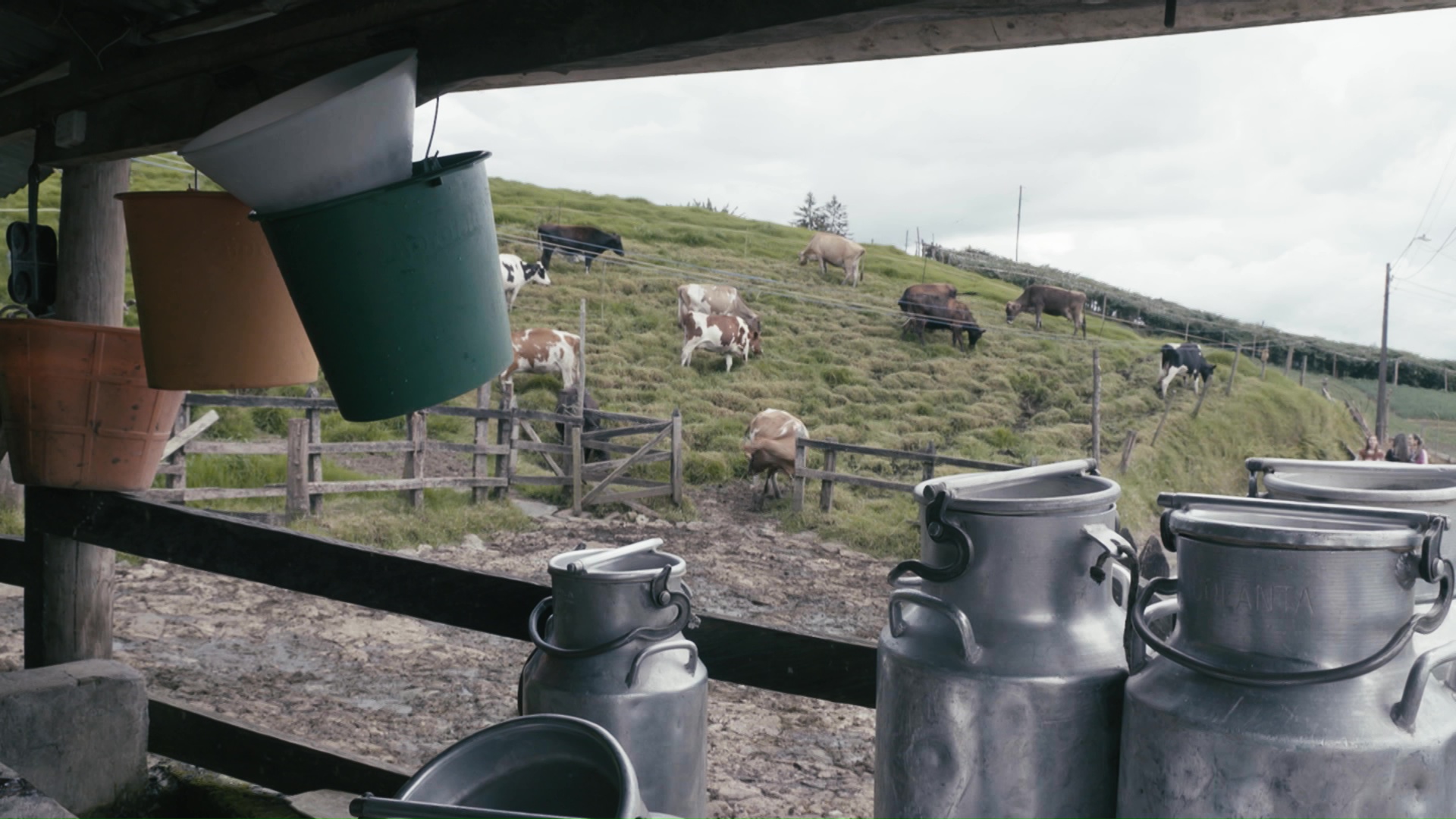 115 litros de leche por persona al año