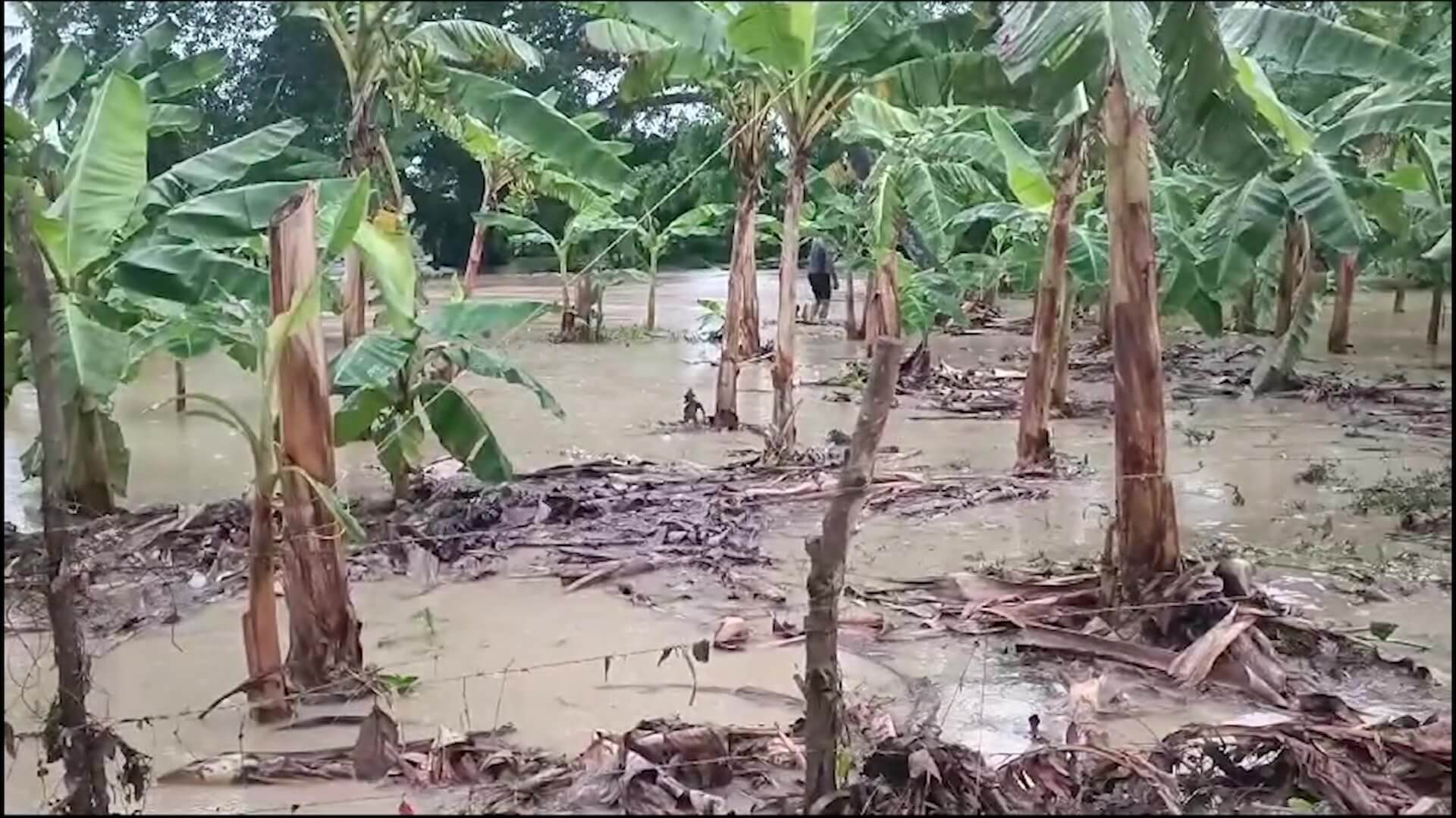 2.000 hectáreas afectadas por inundaciones en Urabá