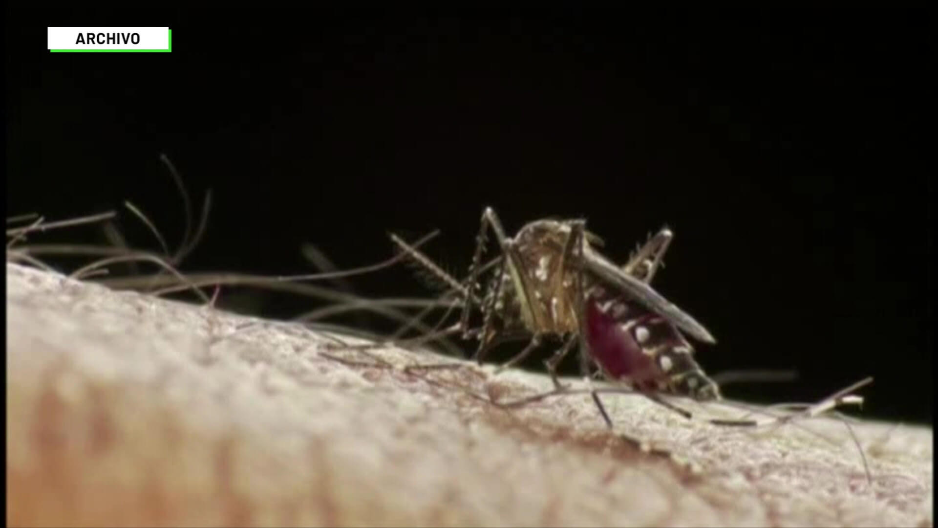 Casos de dengue aumentaron 500 % en Antioquia
