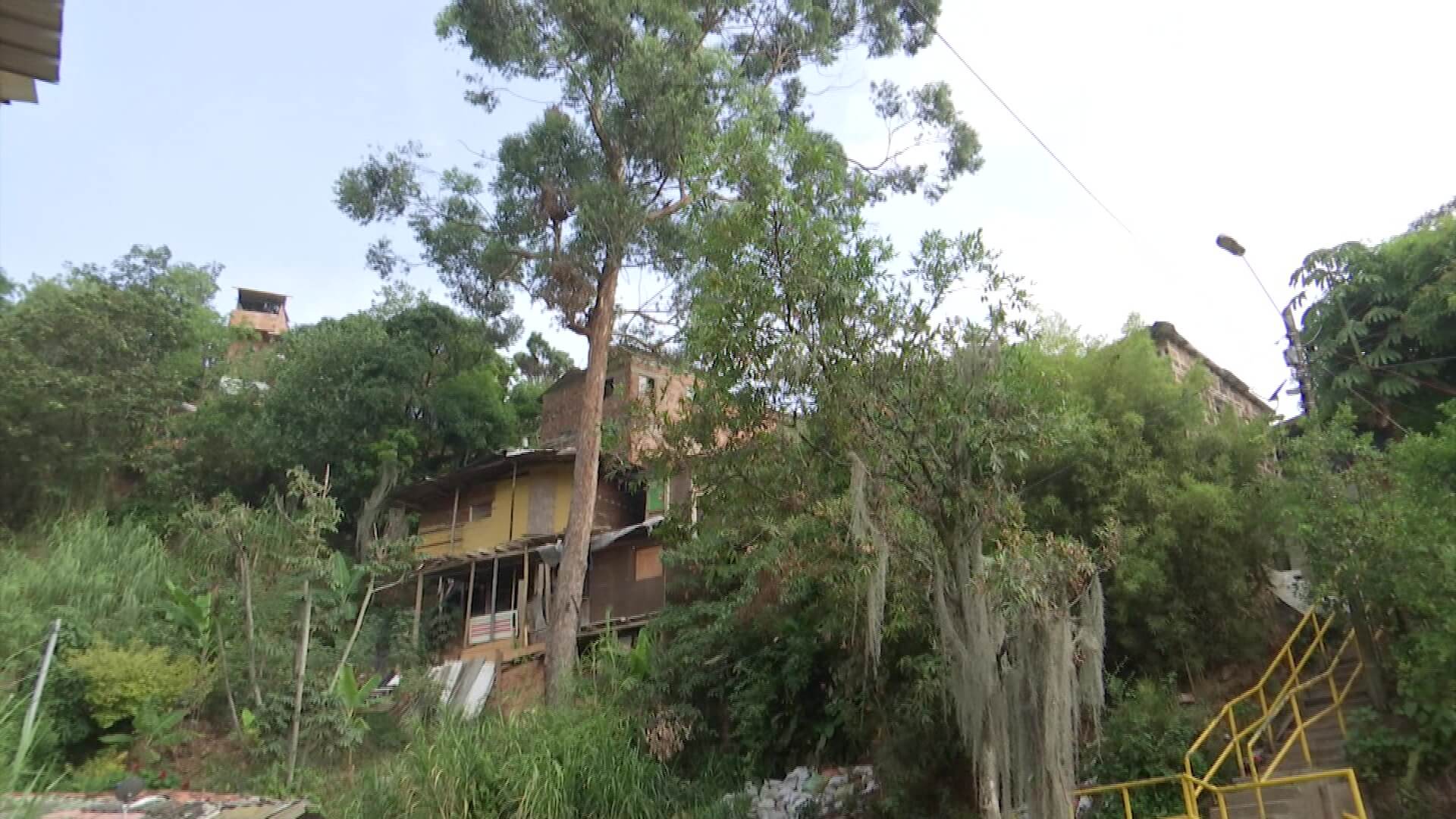 Comunidad teme por caída de árbol en Itagüí