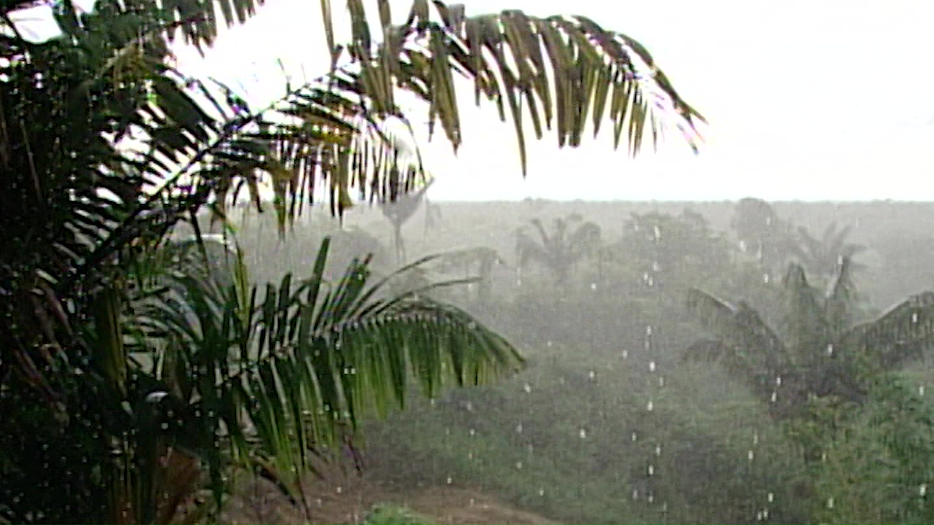 Aún hay riesgo por fenómeno de El Niño