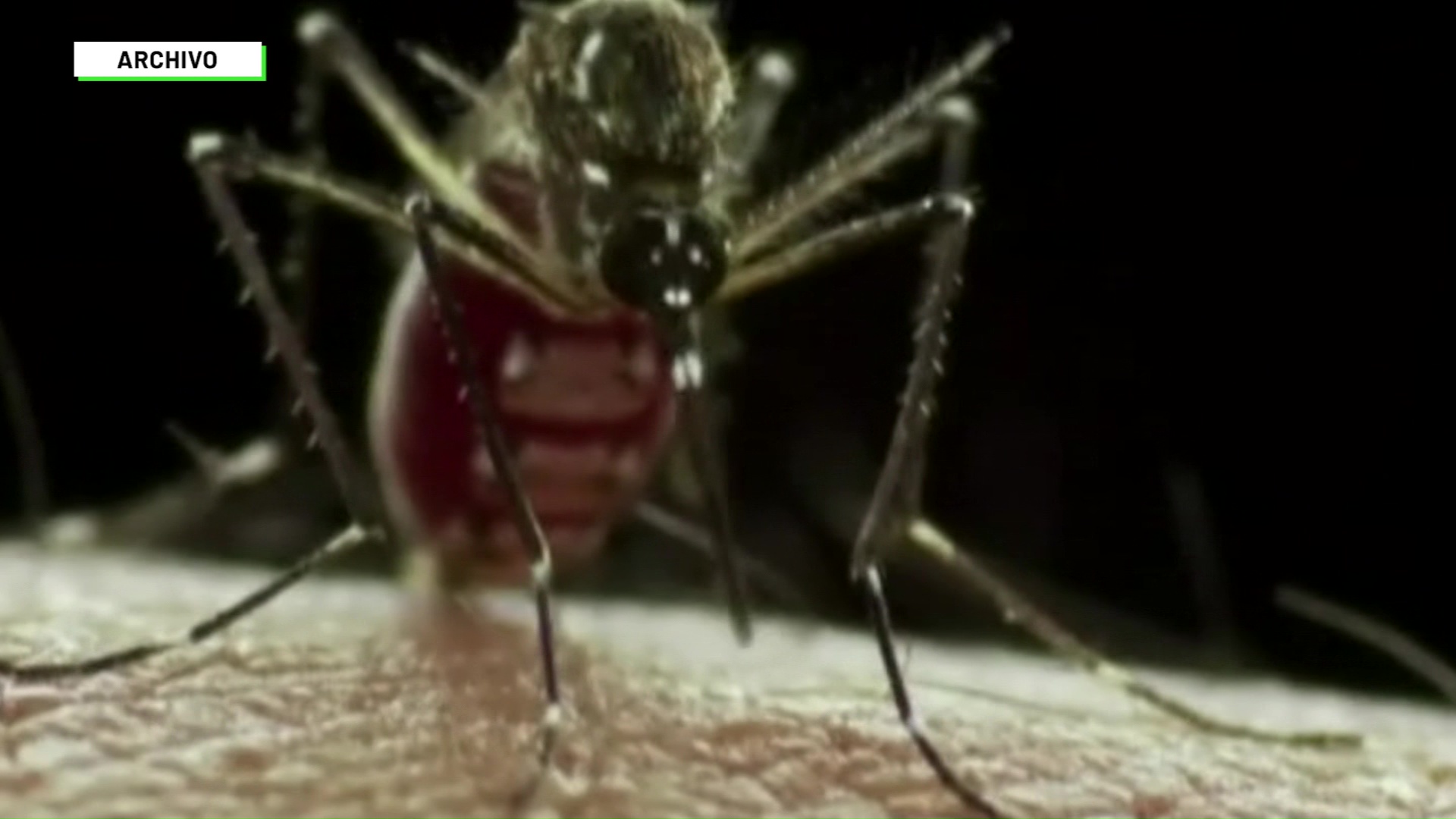 Alertan posible aumento de dengue en Medellín