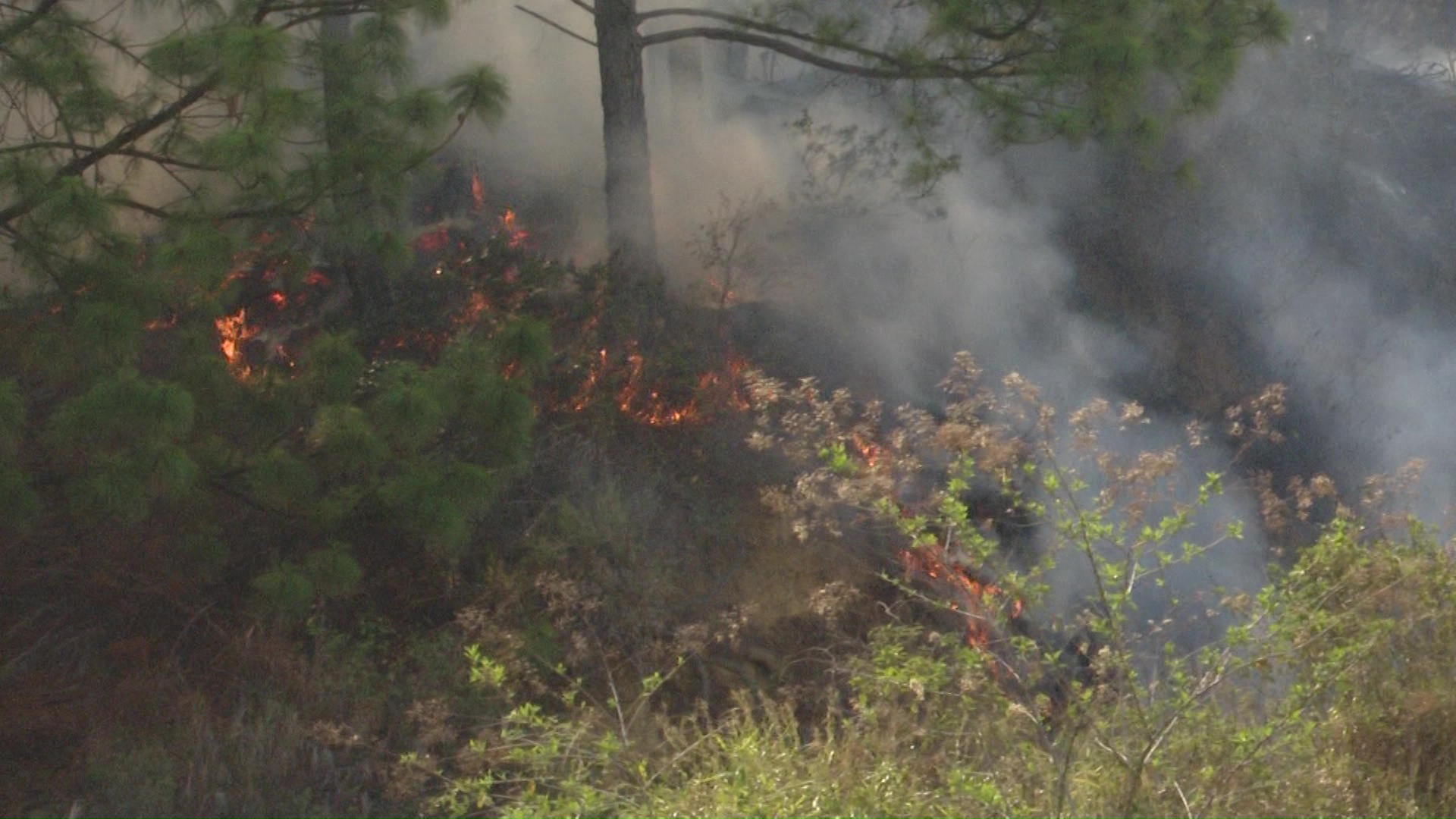 Cada tres días hay un incendio en Bello