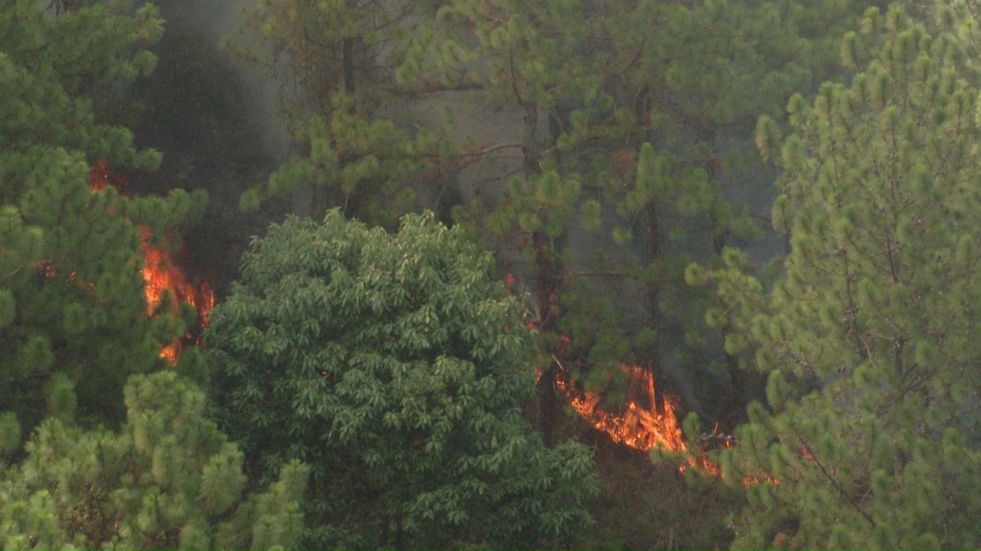 77 municipios en alerta roja por incendios