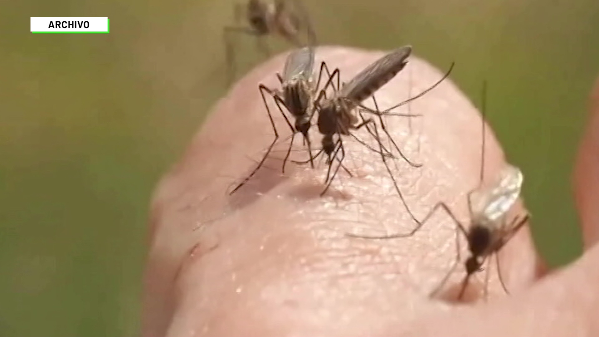 Alerta por malaria y dengue en Antioquia