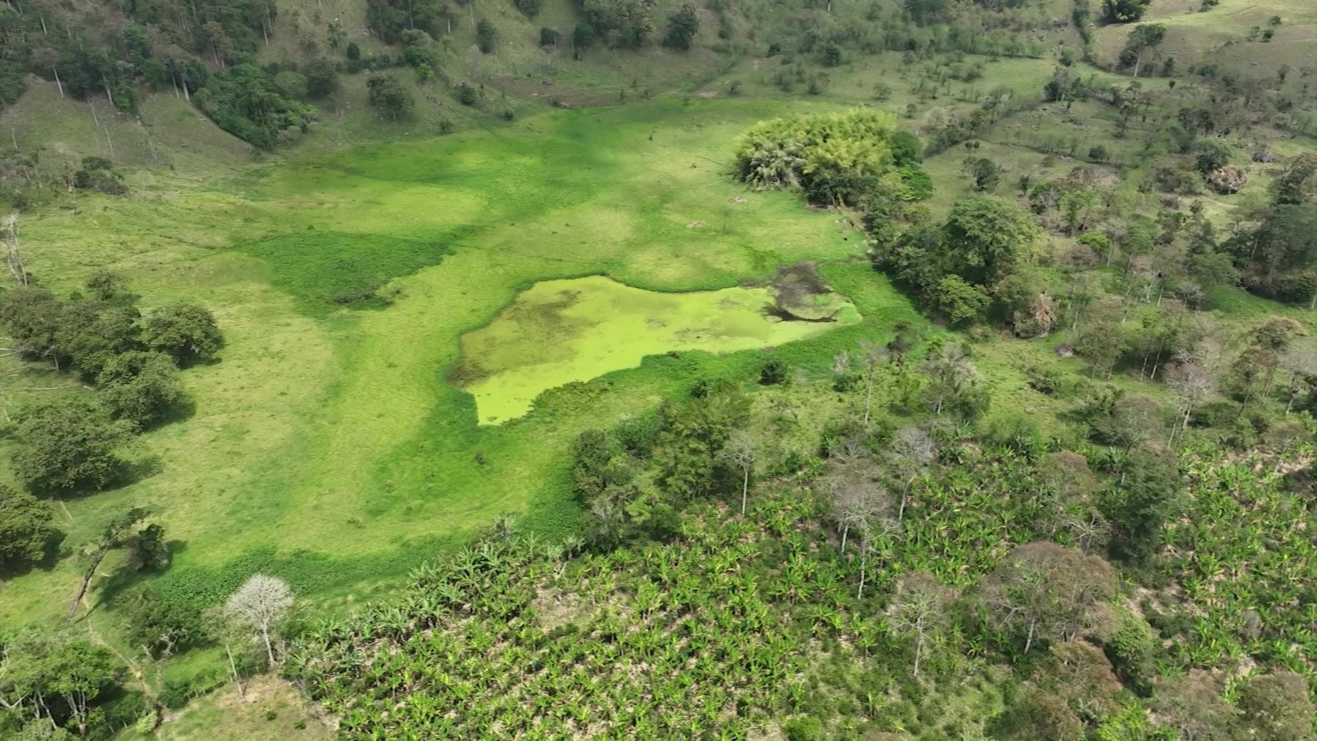 Lío limítrofe entre Tarso y Jericó