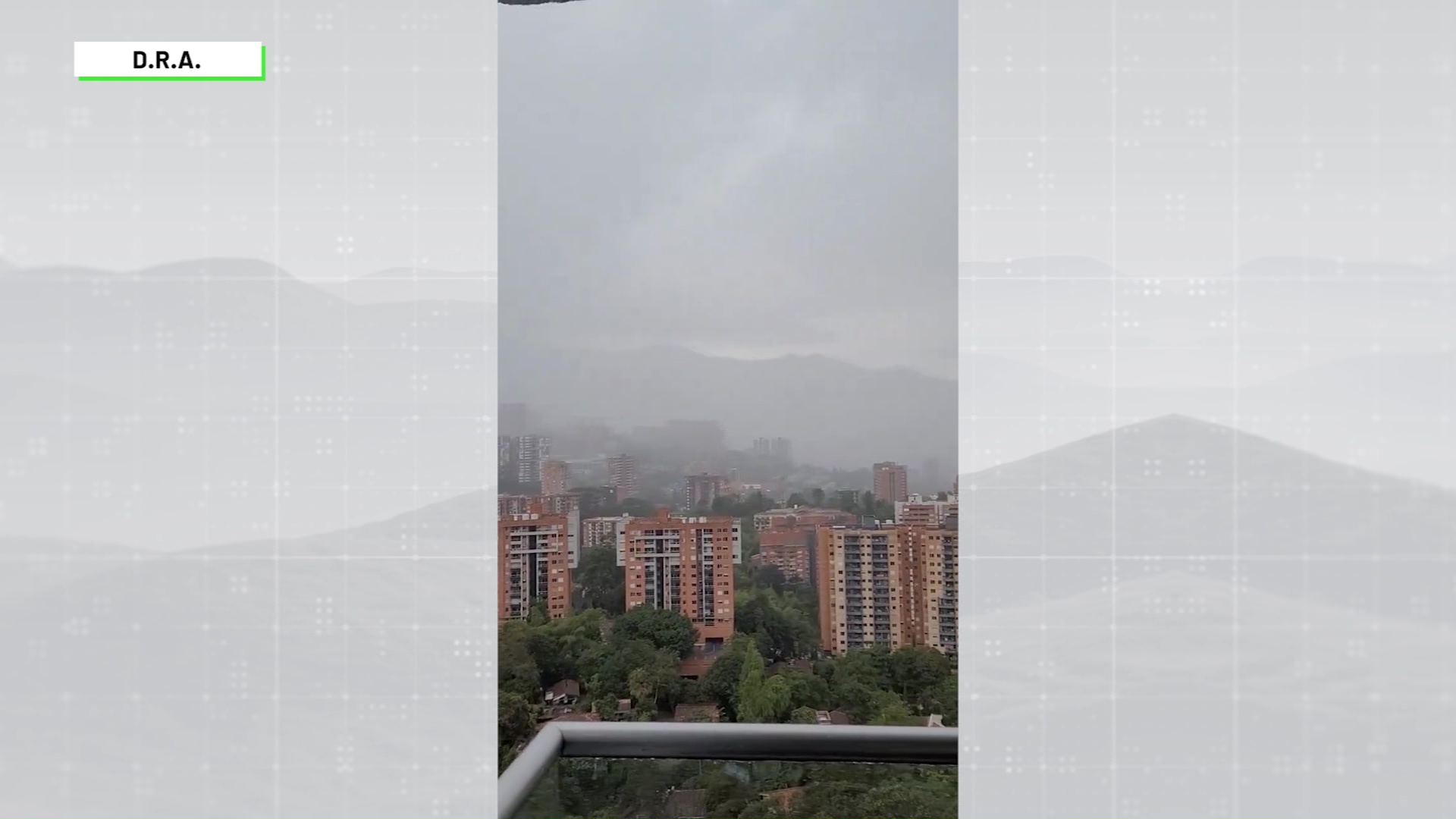 Por aguacero, un árbol cayó sobre vehículo