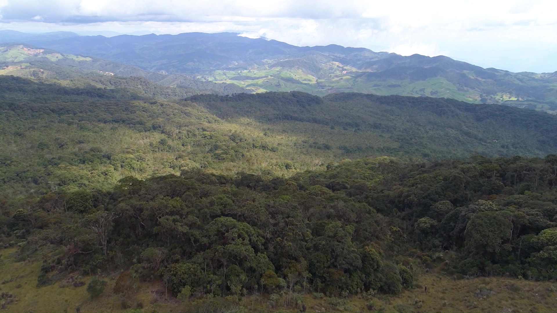 Día de la tierra: aumentó la deforestación