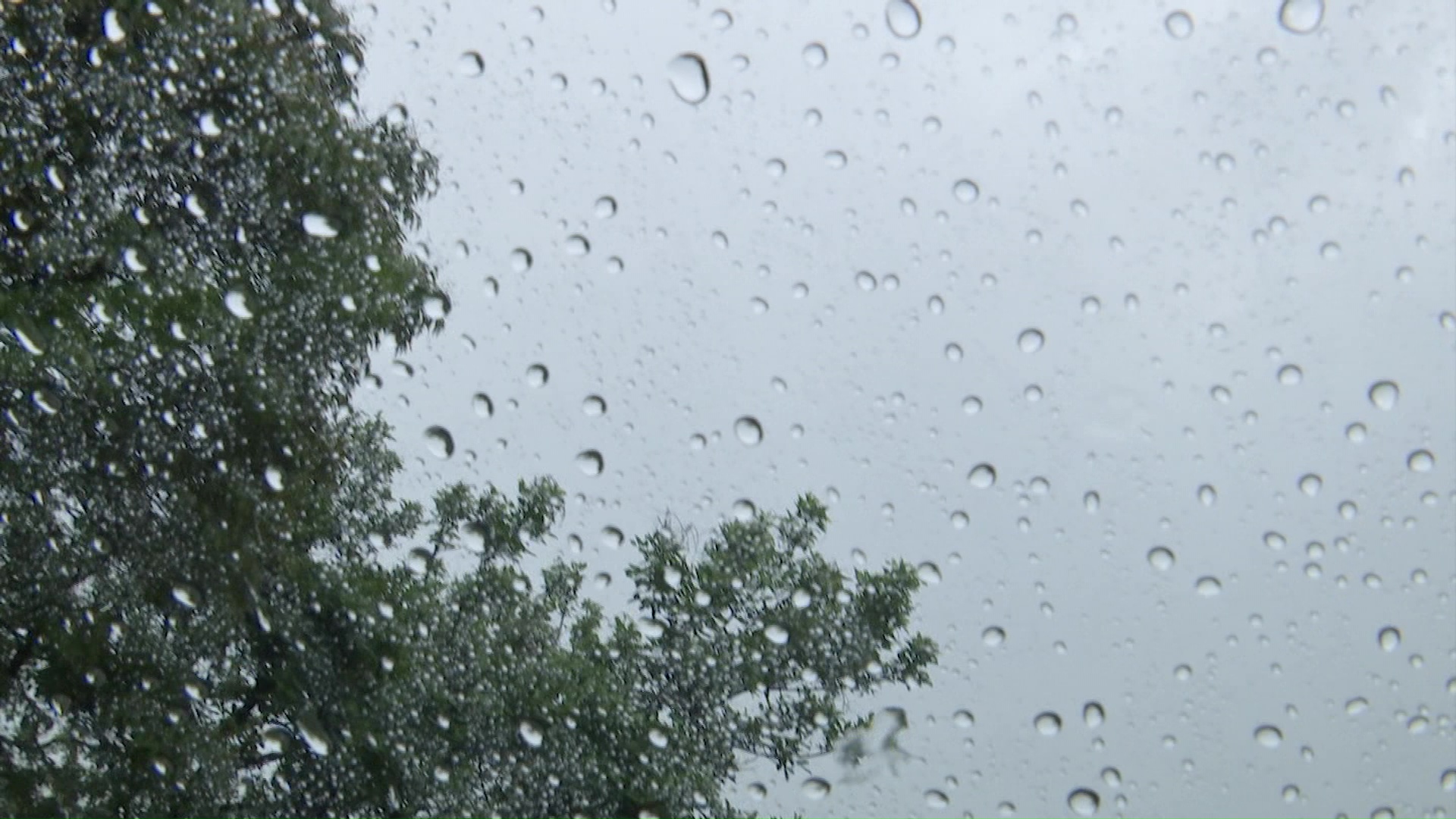 Lluvia y tormentas eléctricas en varias zonas