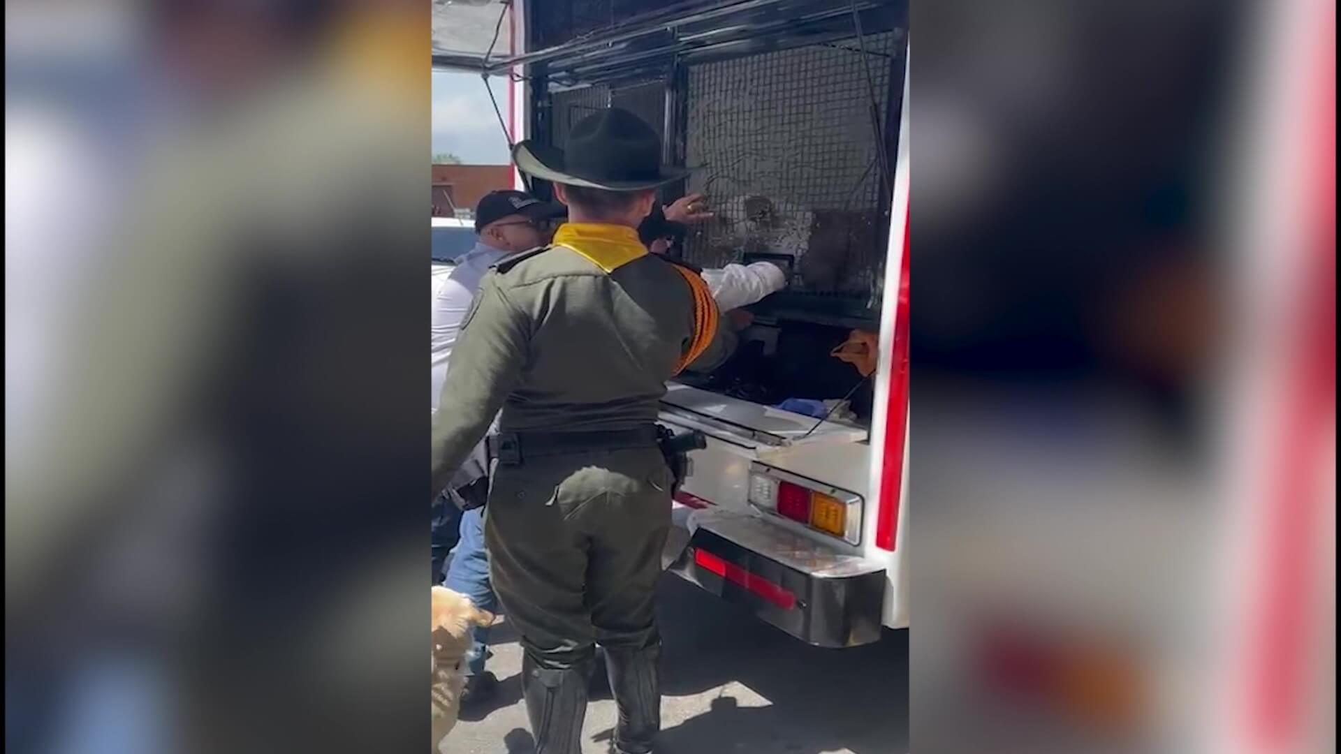 Rescataron un perro que era maltratado en La Aurora