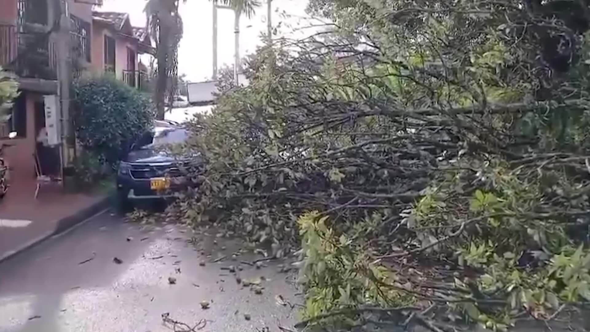 Vendaval causó estragos en Rionegro