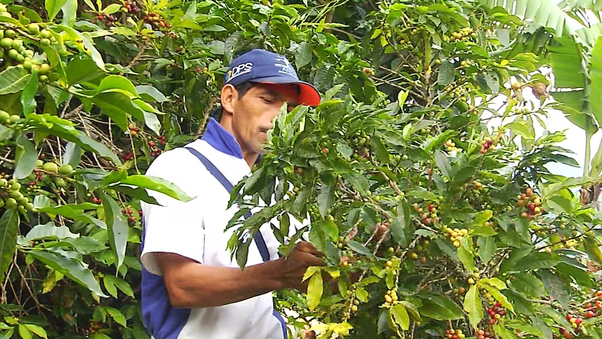 Respaldo a Federación Nacional de Cafeteros