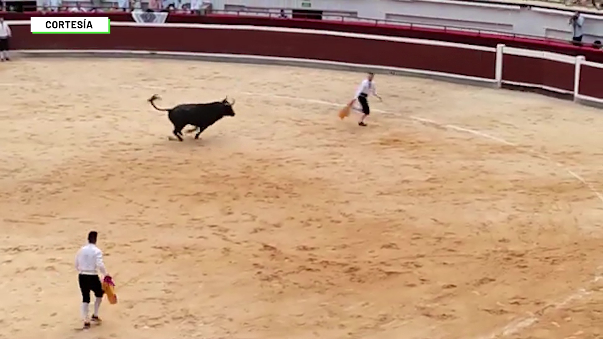 ¿Colombia prohibirá corridas de toros?